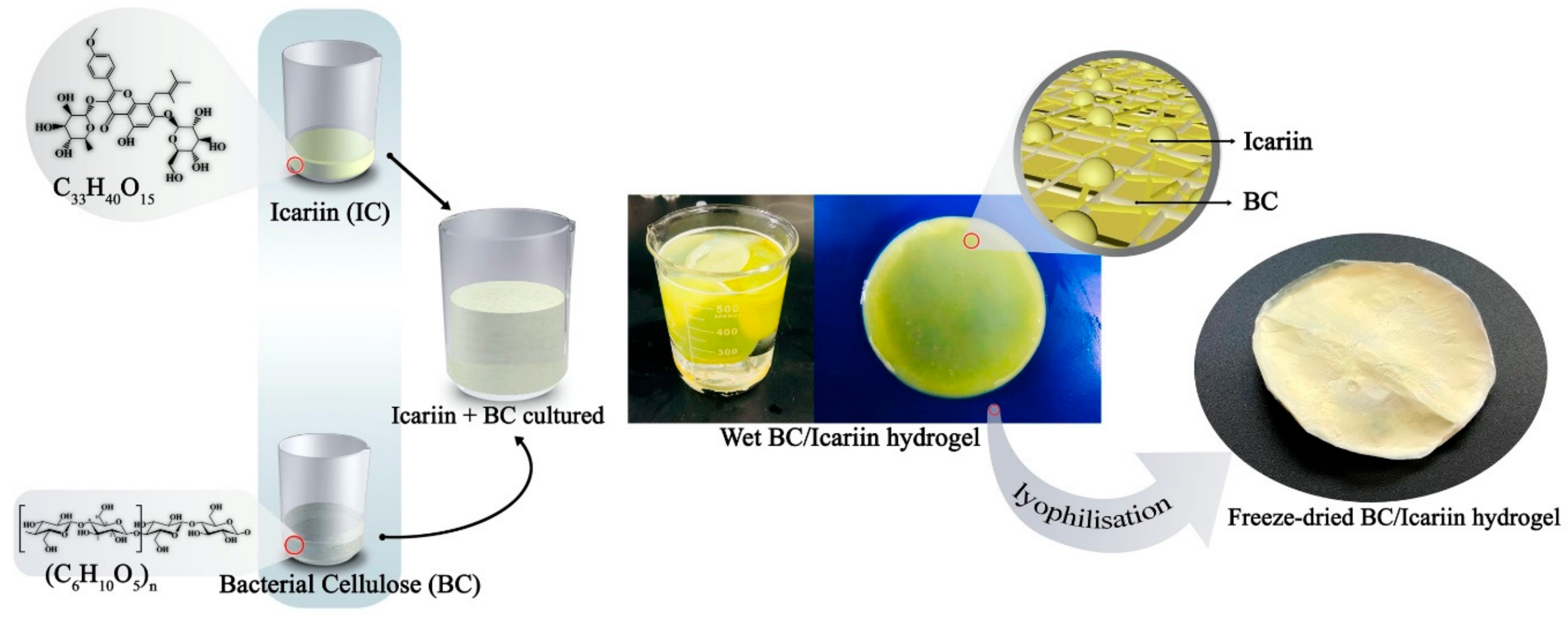 Nanomaterials 11 00387 sch002 Nanomaterials 11 00387 sch002