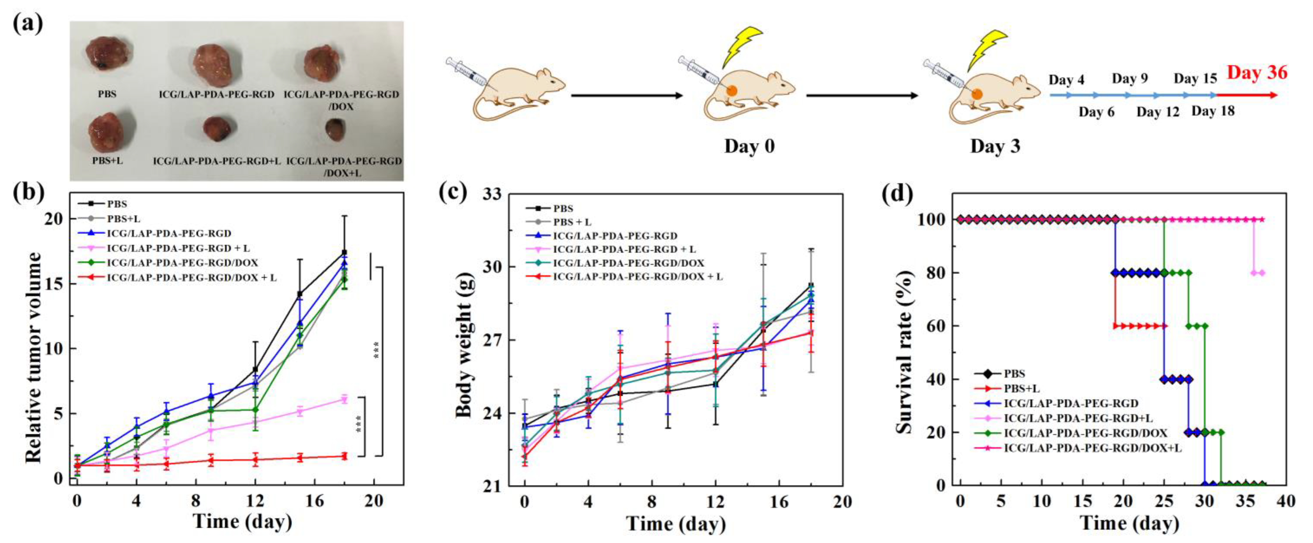 Nanomaterials 11 00394 g005