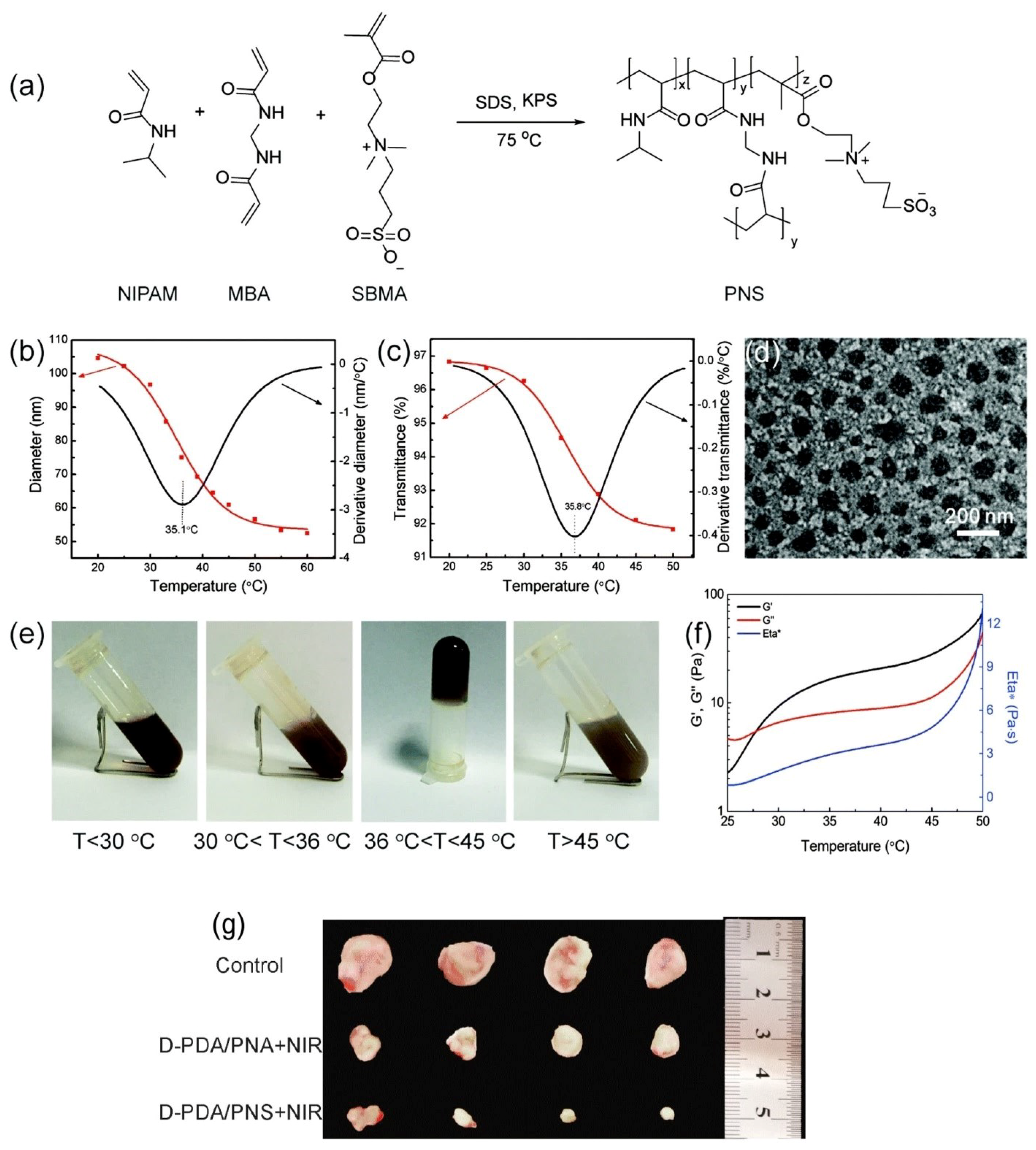 Nanomaterials 11 00396 g002 Nanomaterials 11 00396 g002