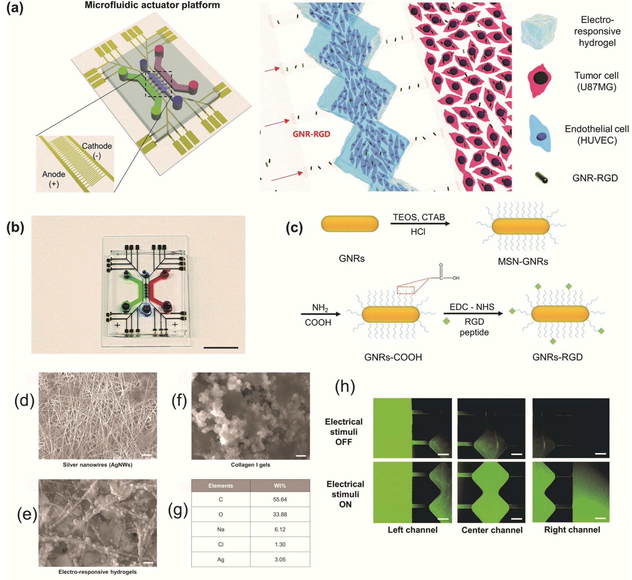 Nanomaterials 11 00396 g003 Nanomaterials 11 00396 g003