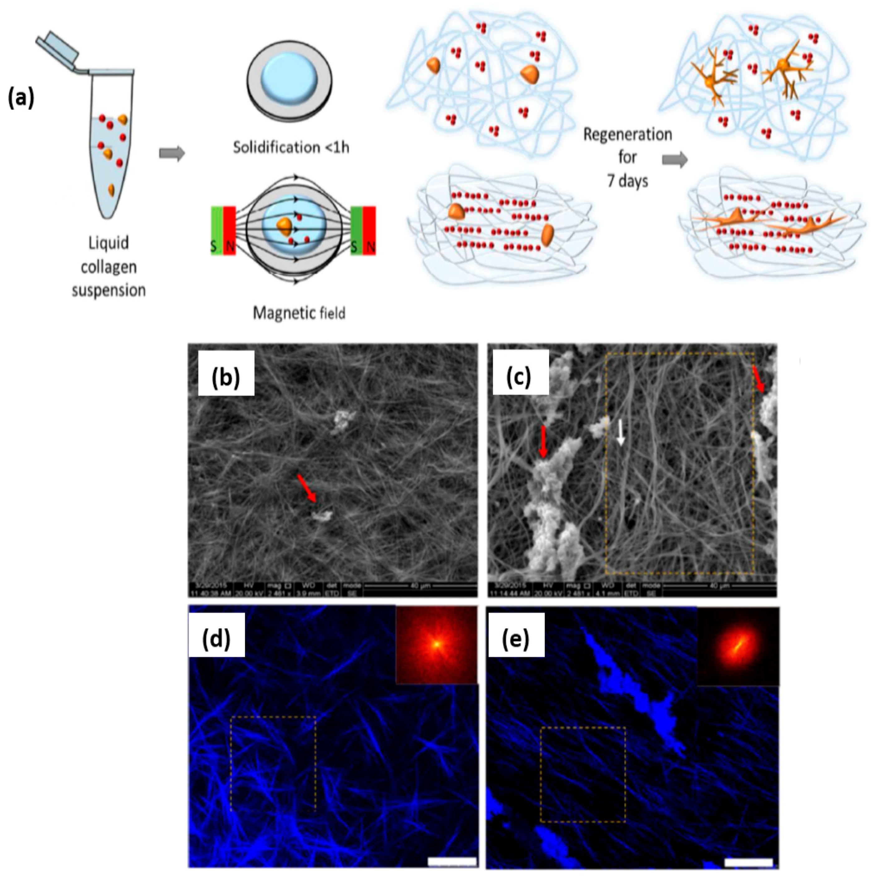 Nanomaterials 11 00396 g005 Nanomaterials 11 00396 g005