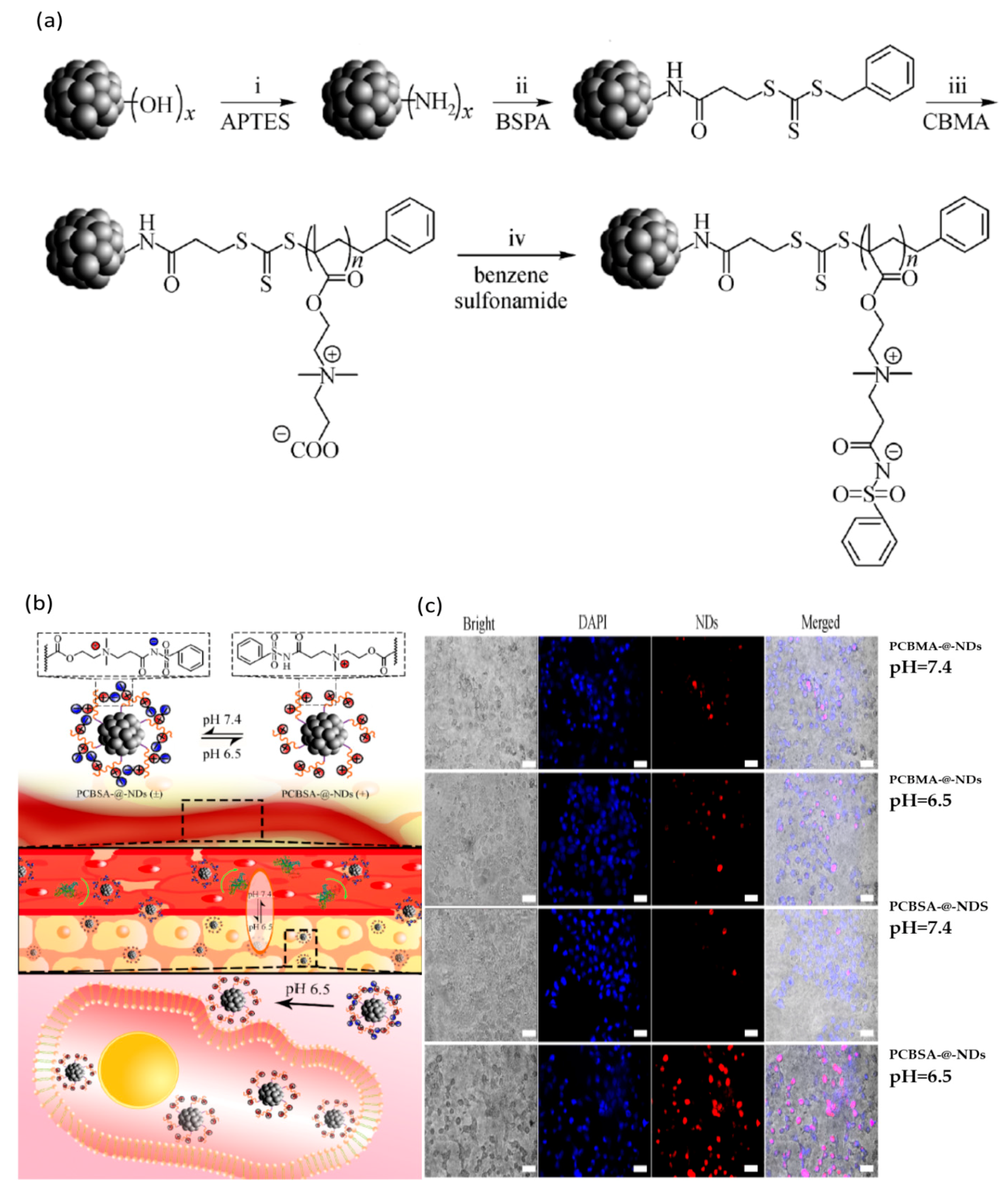 Nanomaterials 11 00396 g006 Nanomaterials 11 00396 g006