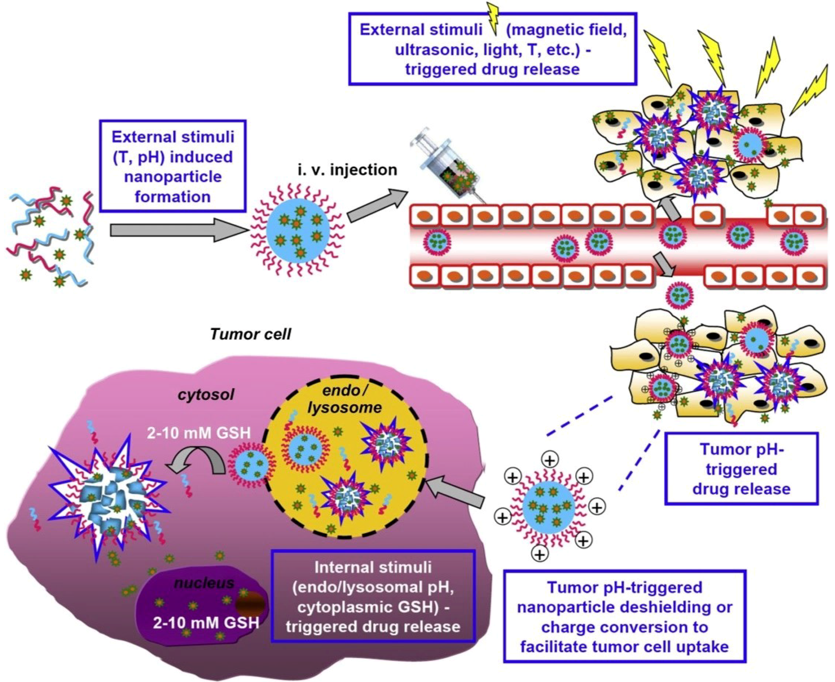 Nanomaterials 11 00396 g010 Nanomaterials 11 00396 g010