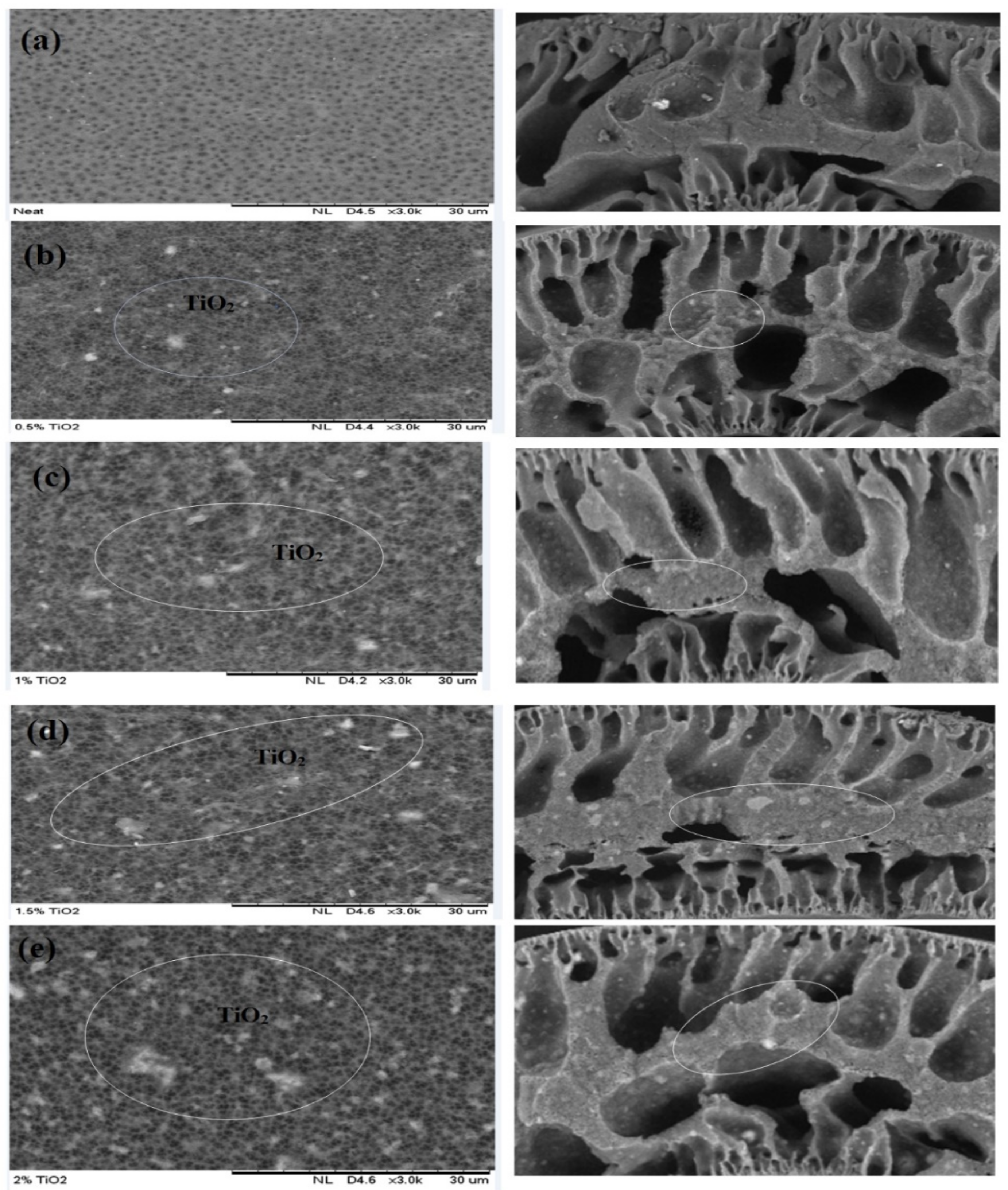 Nanomaterials 11 00399 g002 Nanomaterials 11 00399 g002
