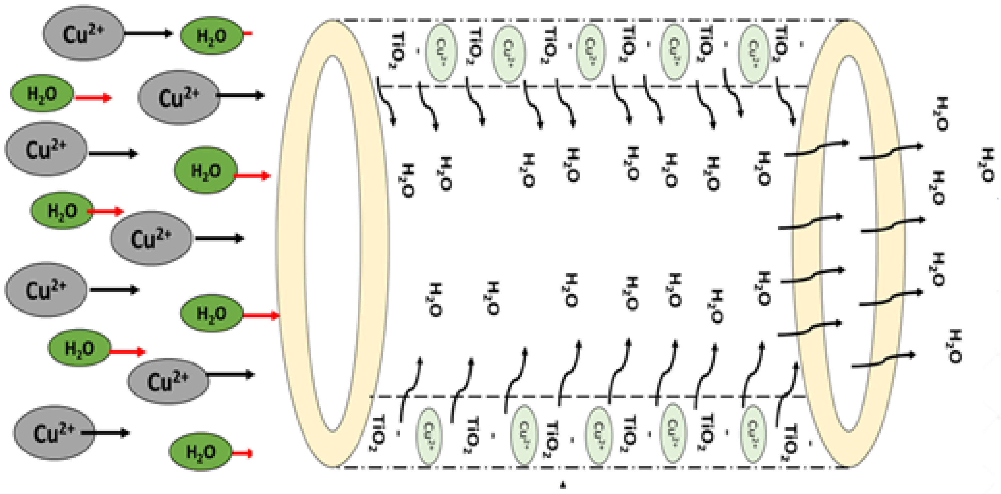 Nanomaterials 11 00399 g006 Nanomaterials 11 00399 g006