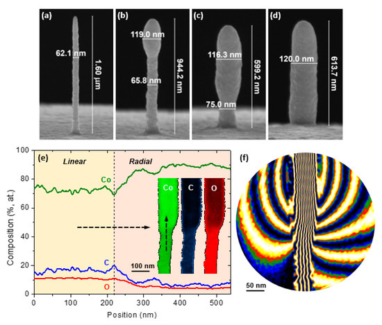 Nanomaterials 11 00402 g001 550