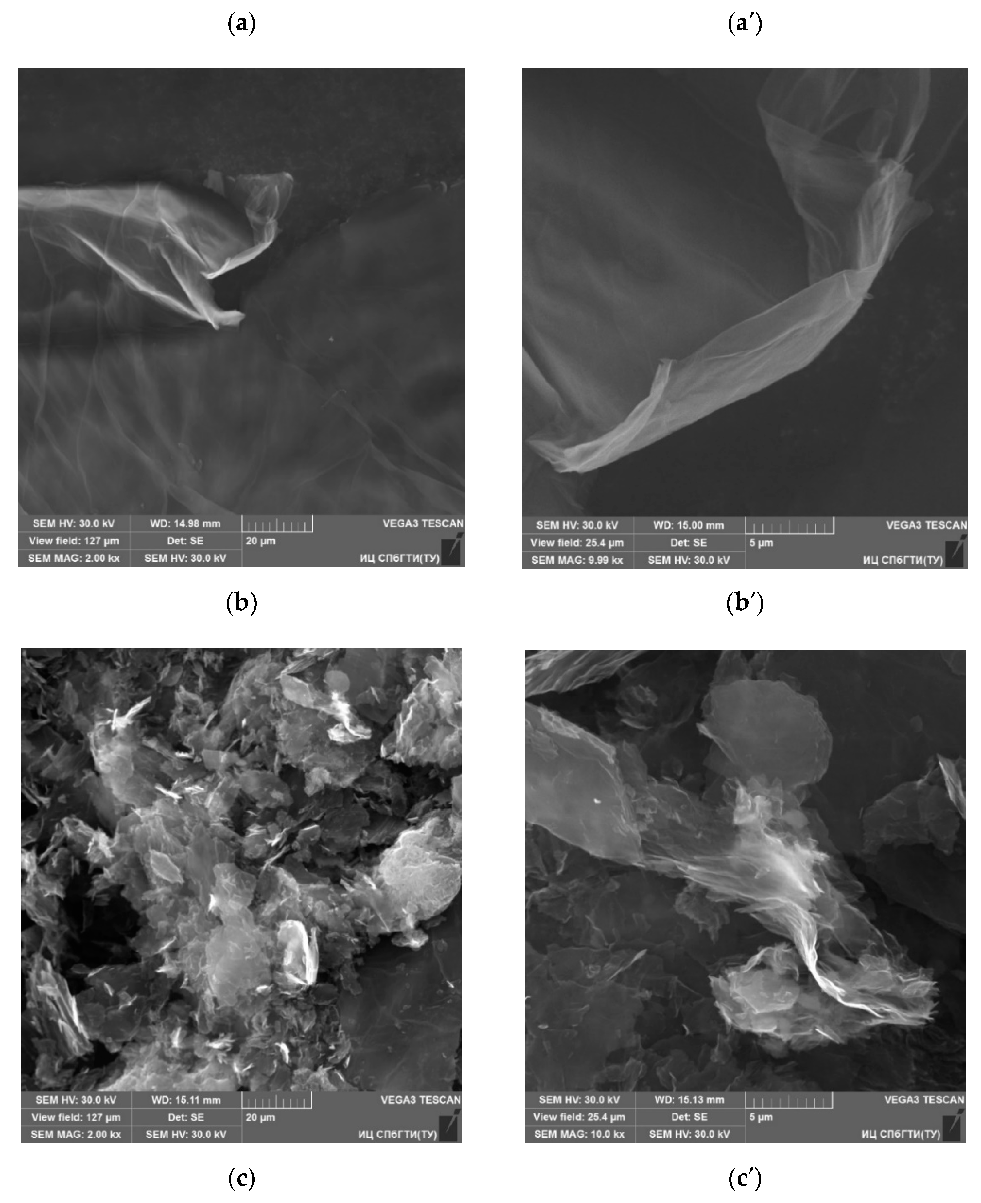 Nanomaterials 11 00403 g005a Nanomaterials 11 00403 g005a