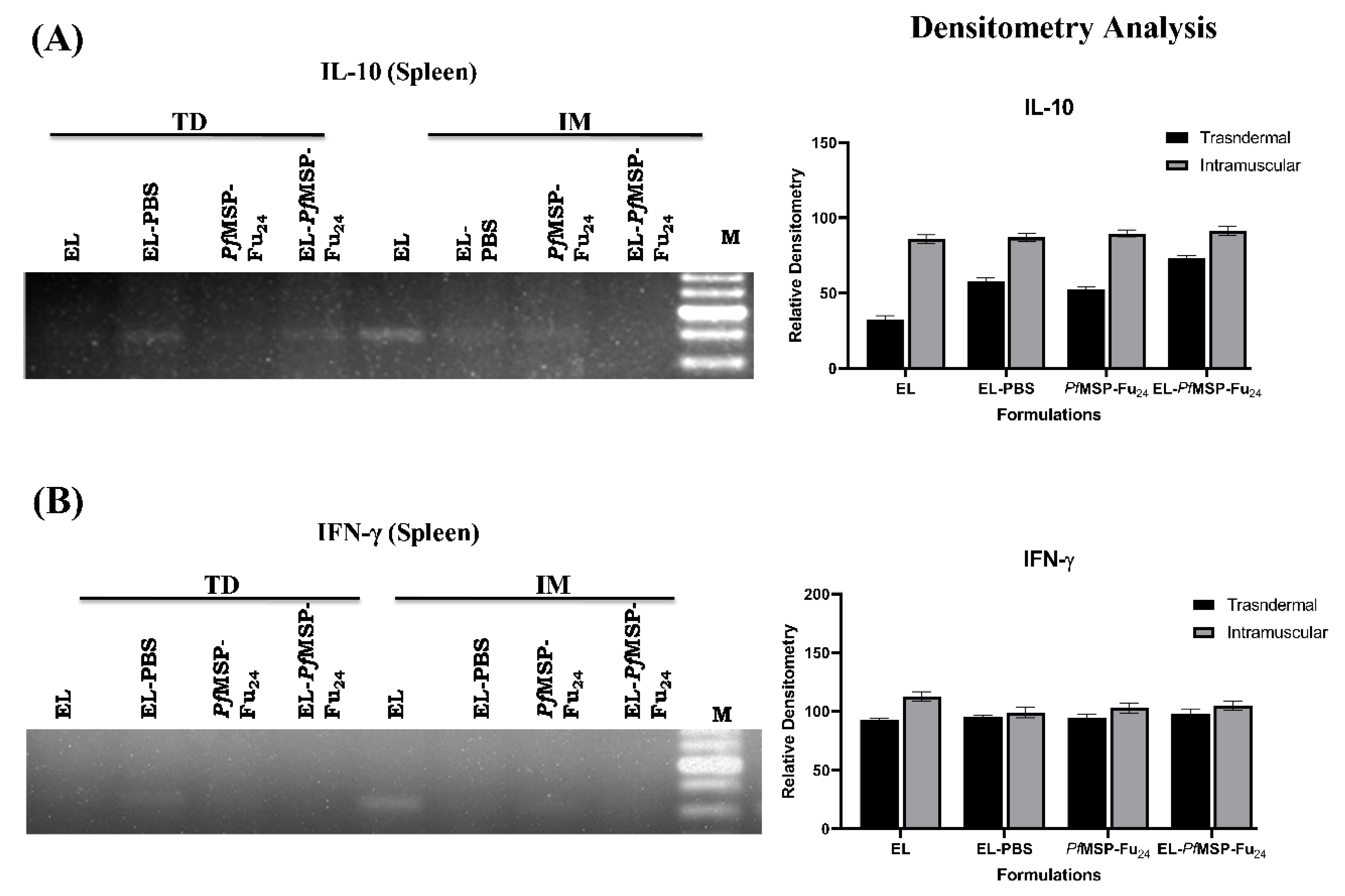 Nanomaterials 11 00406 g004 Nanomaterials 11 00406 g004