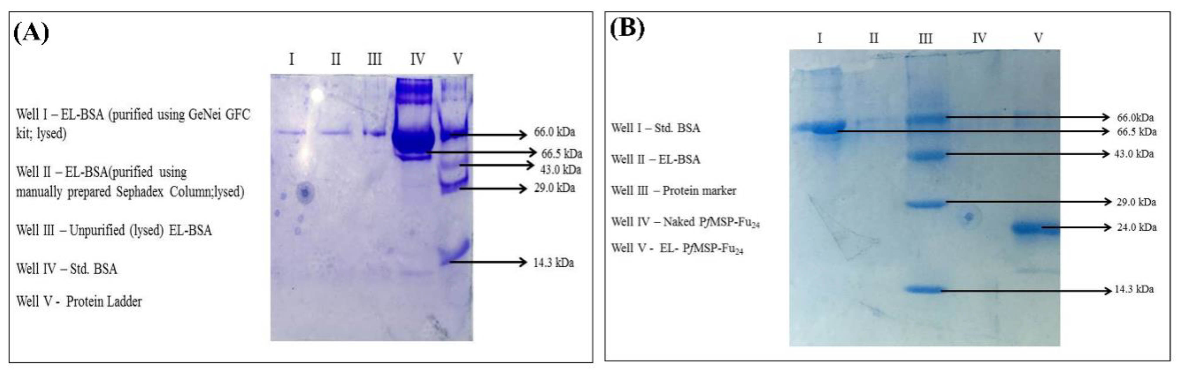 Nanomaterials 11 00406 g006 Nanomaterials 11 00406 g006