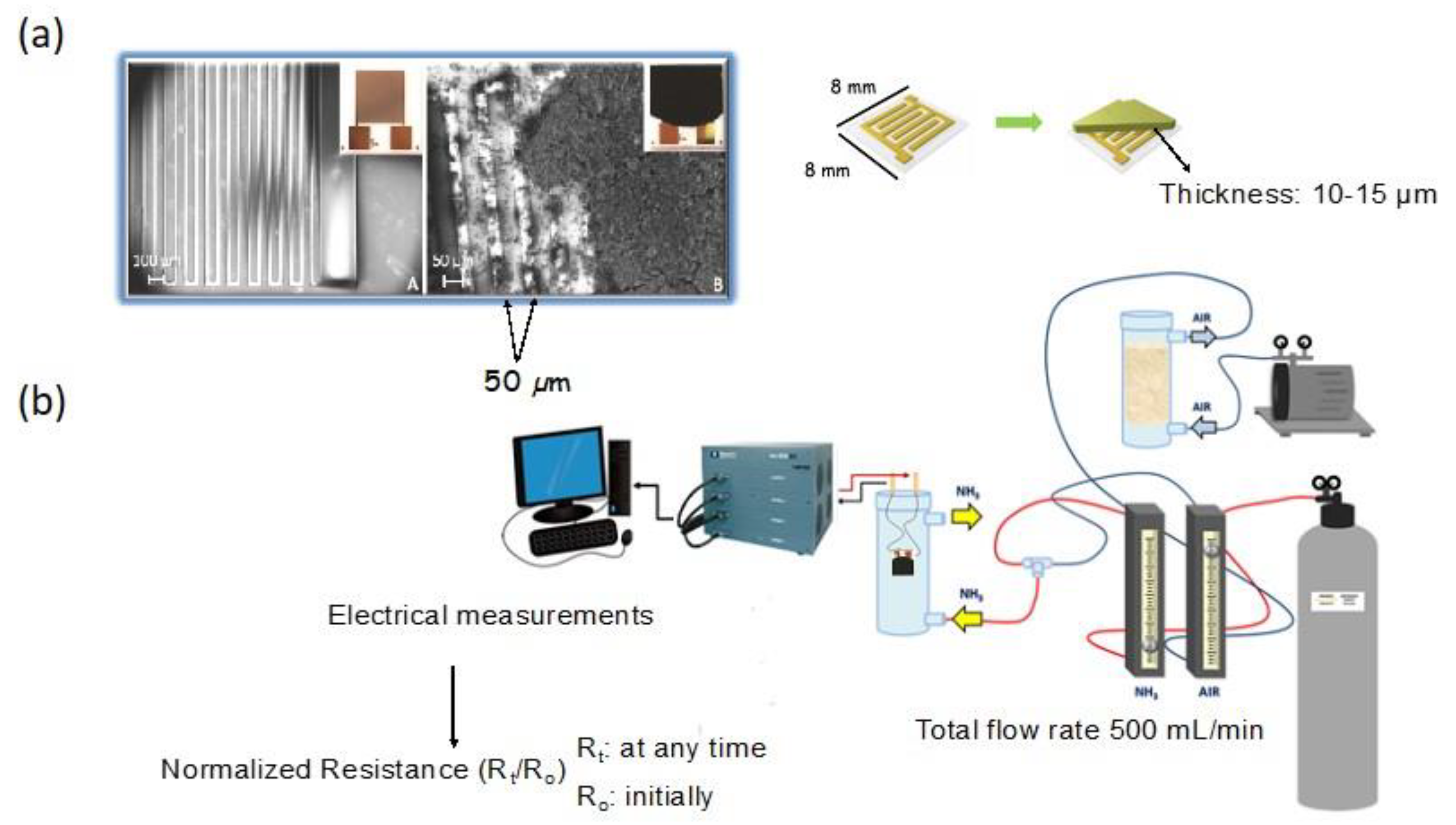Nanomaterials 11 00407 g001