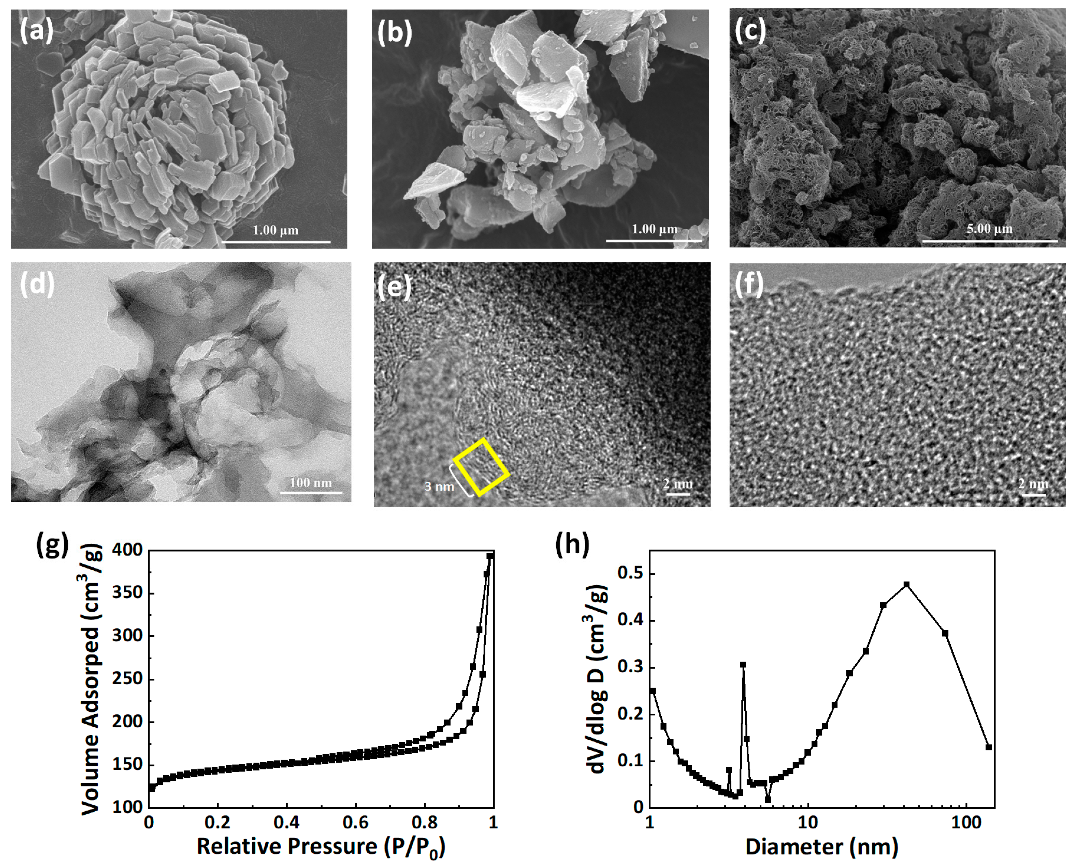 Nanomaterials 11 00408 g001