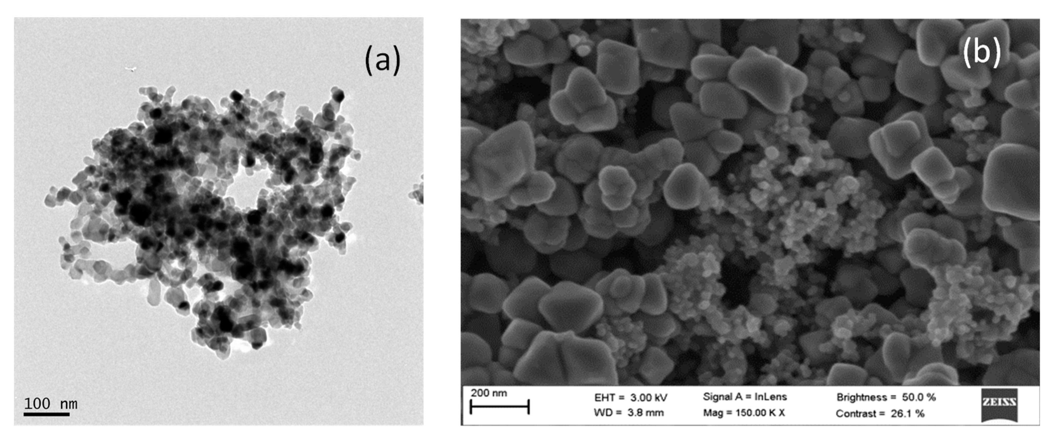 Nanomaterials 11 00411 g005 Nanomaterials 11 00411 g005