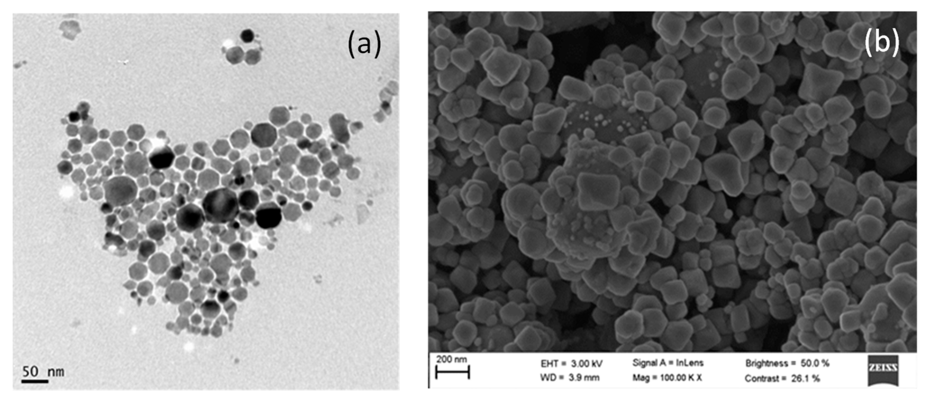 Nanomaterials 11 00411 g006 Nanomaterials 11 00411 g006