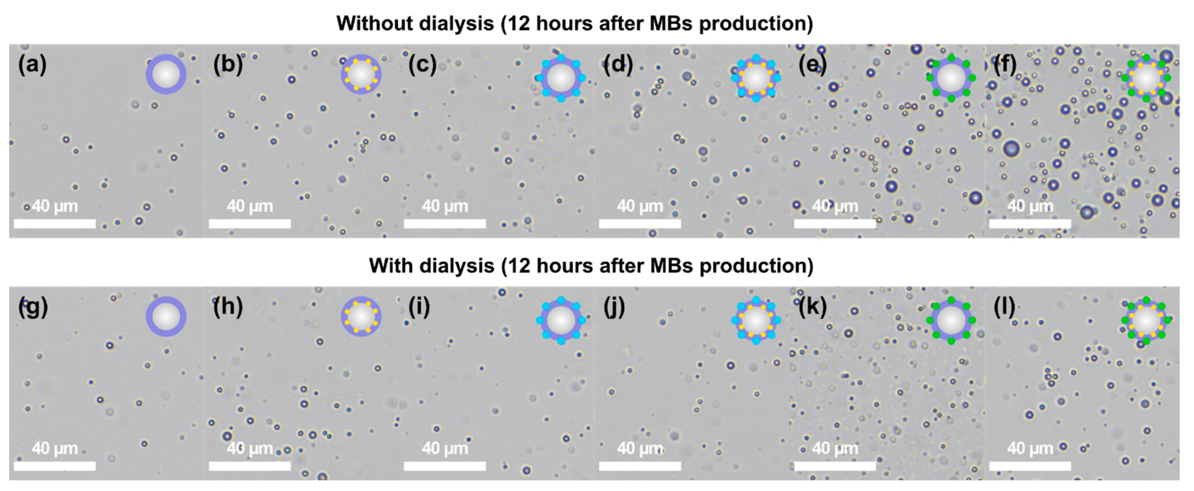 Nanomaterials 11 00415 g005