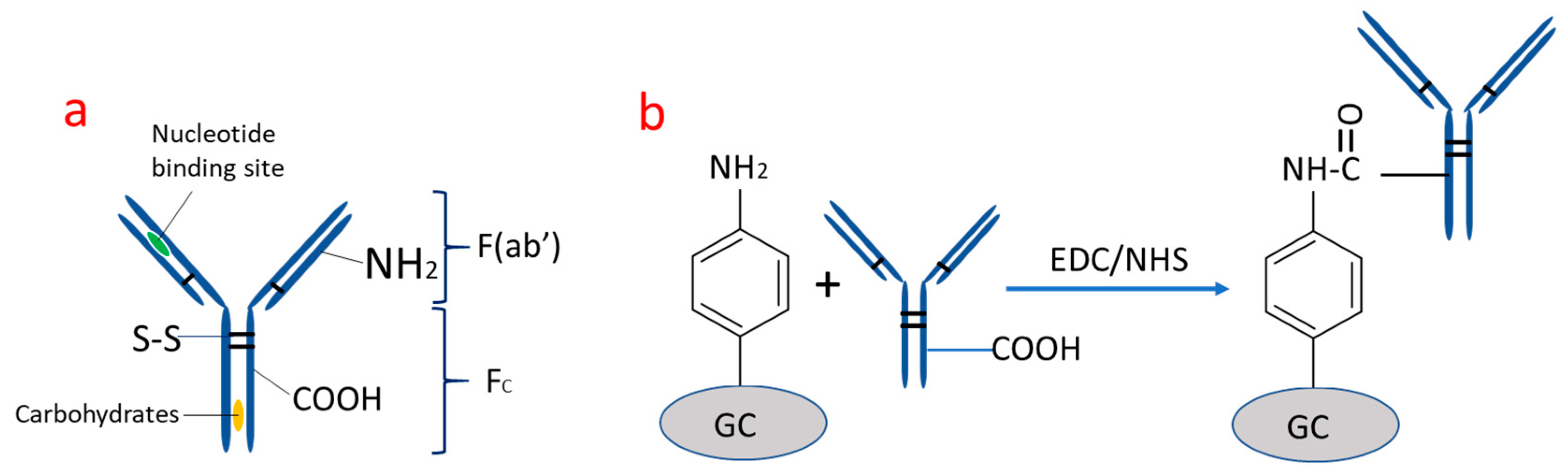 Nanomaterials 11 00416 sch002 Nanomaterials 11 00416 sch002