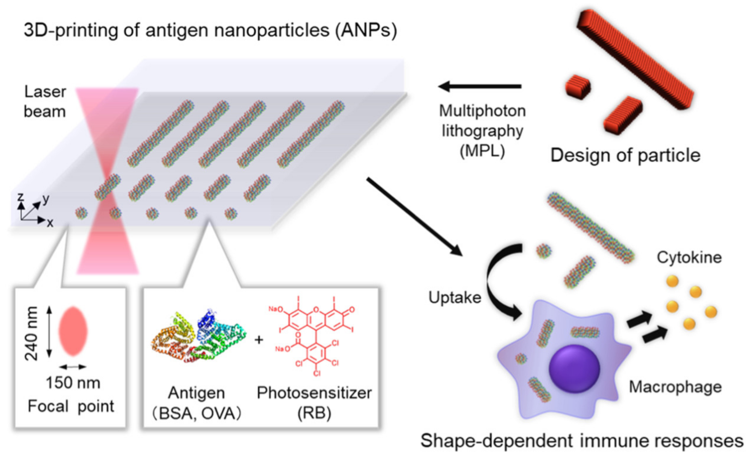 Nanomaterials 11 00420 g003