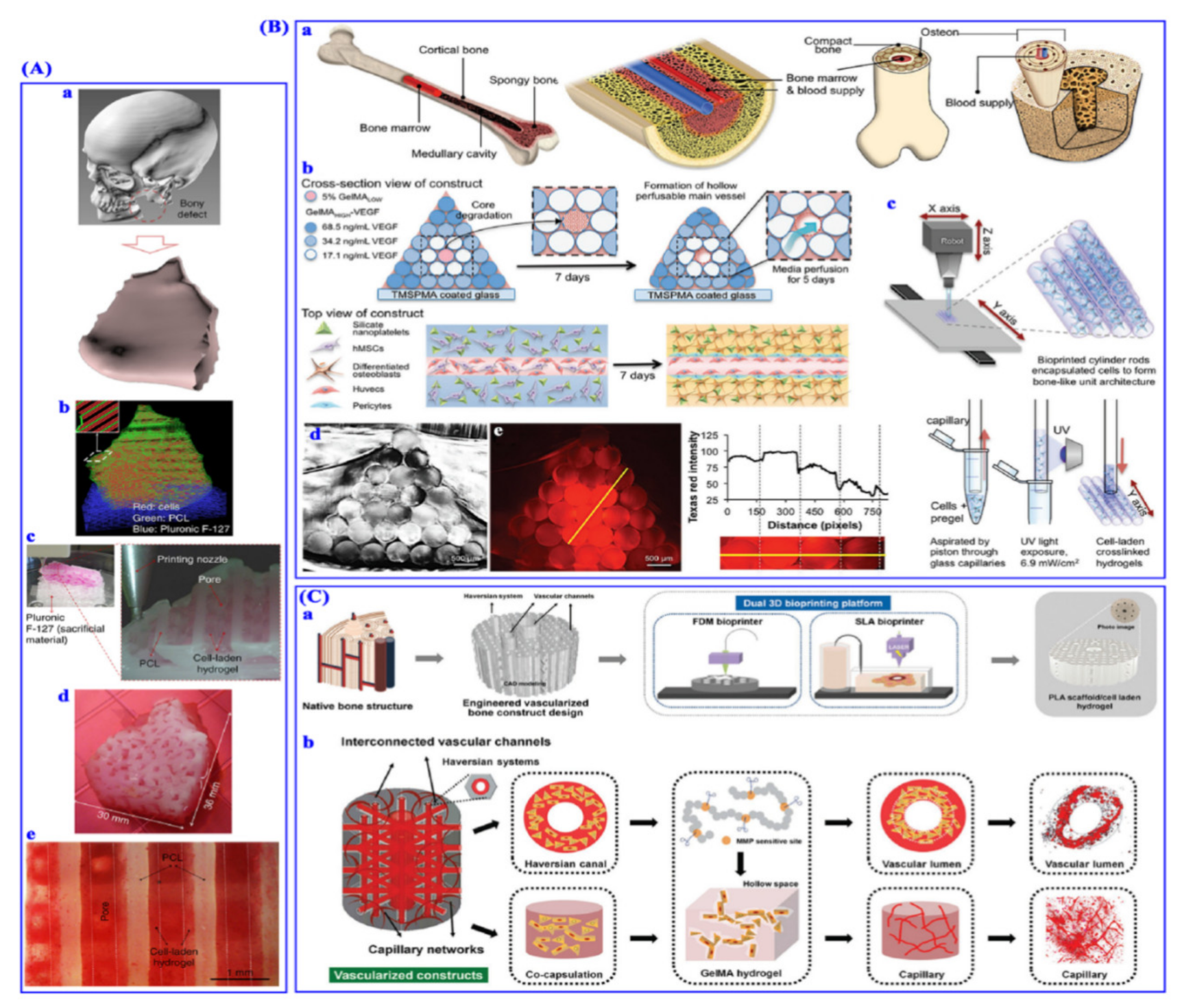 Nanomaterials 11 00420 g005