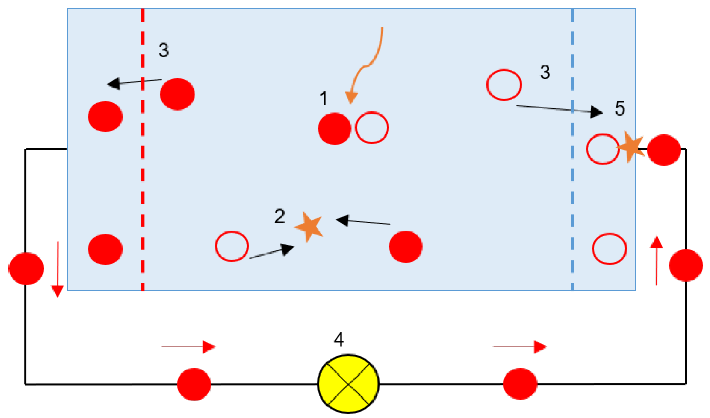 Nanomaterials 11 00422 g007