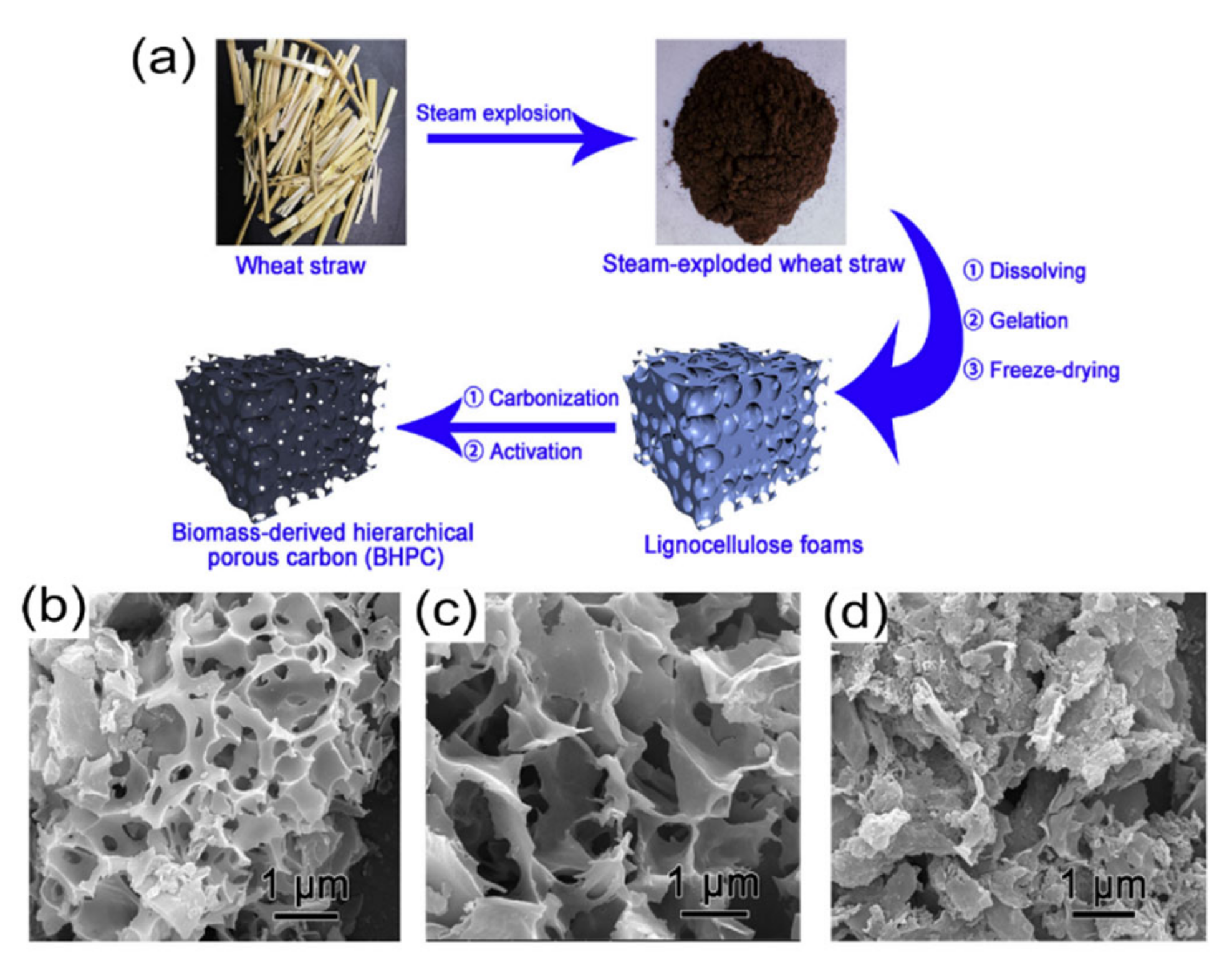 Nanomaterials 11 00424 g004 Nanomaterials 11 00424 g004