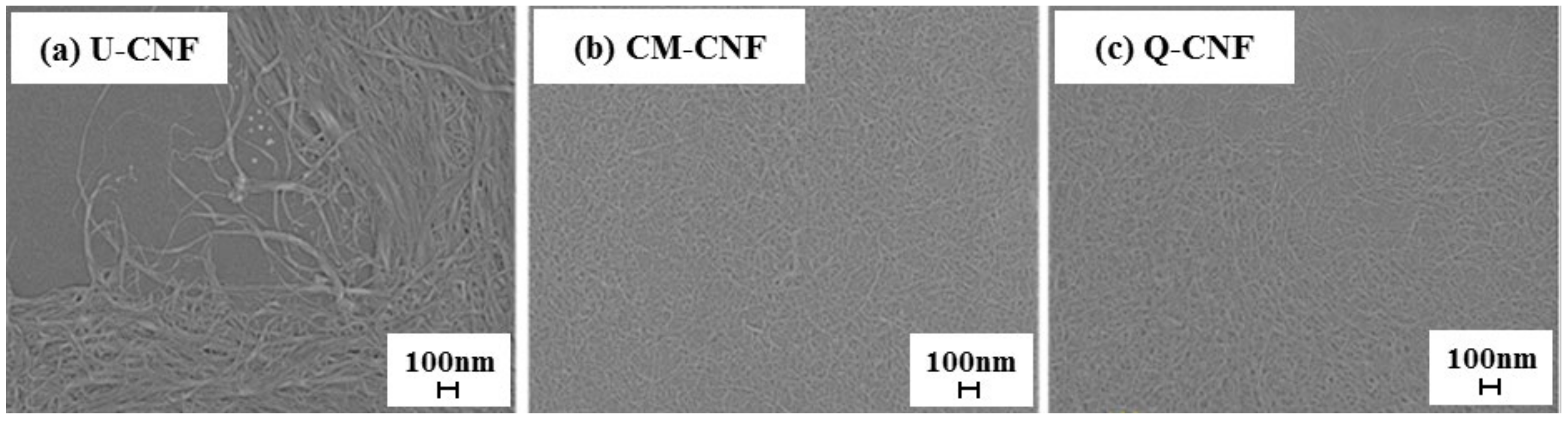 Nanomaterials 11 00426 g002 Nanomaterials 11 00426 g002