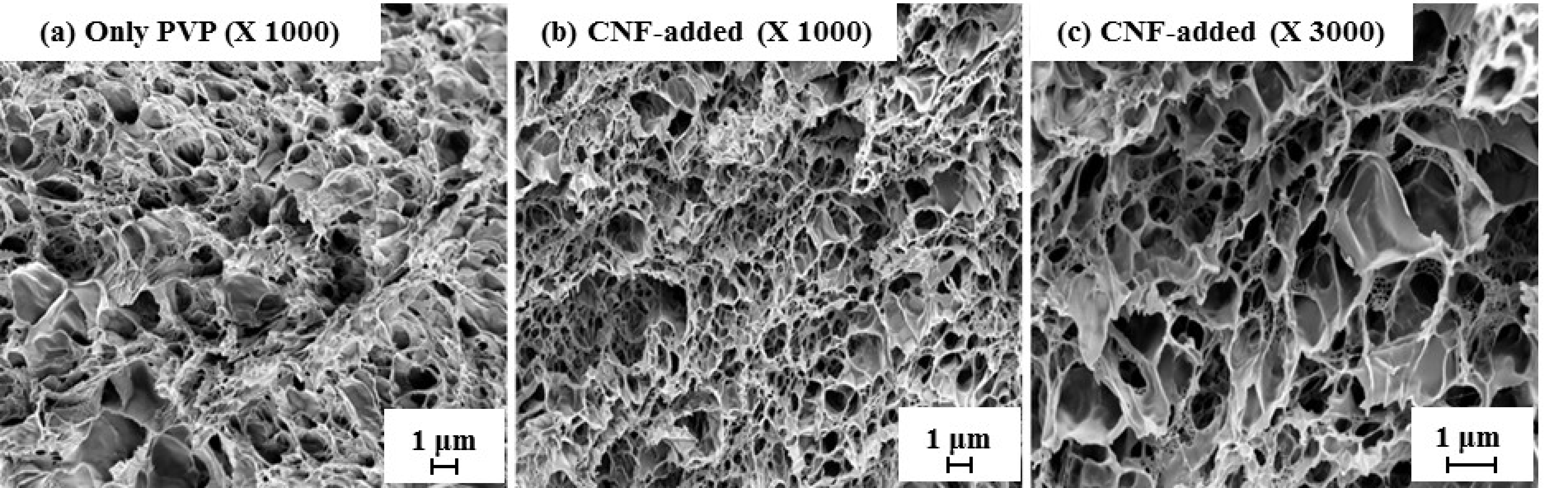 Nanomaterials 11 00426 g008 Nanomaterials 11 00426 g008