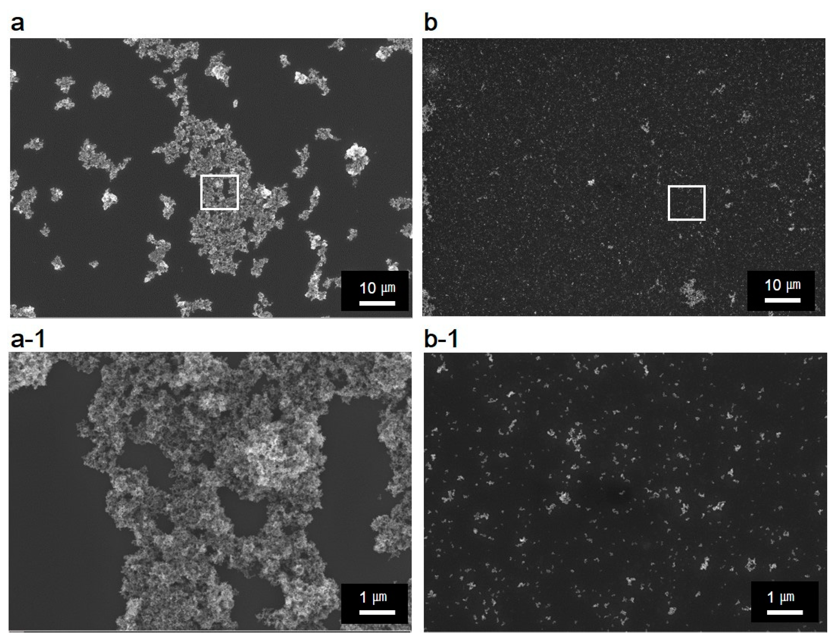 Nanomaterials 11 00427 g006