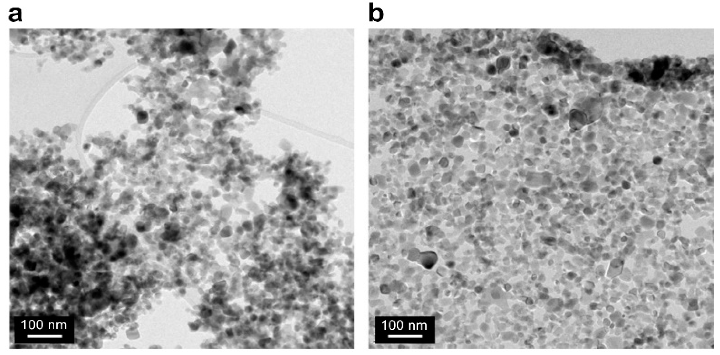 Nanomaterials 11 00427 g007