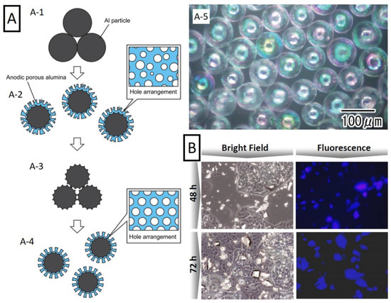 （セール）開催中 人気ブランドも続々プライス Advances Recent in Principles Alumina: Anodic Nanoporous Nintendo Switch