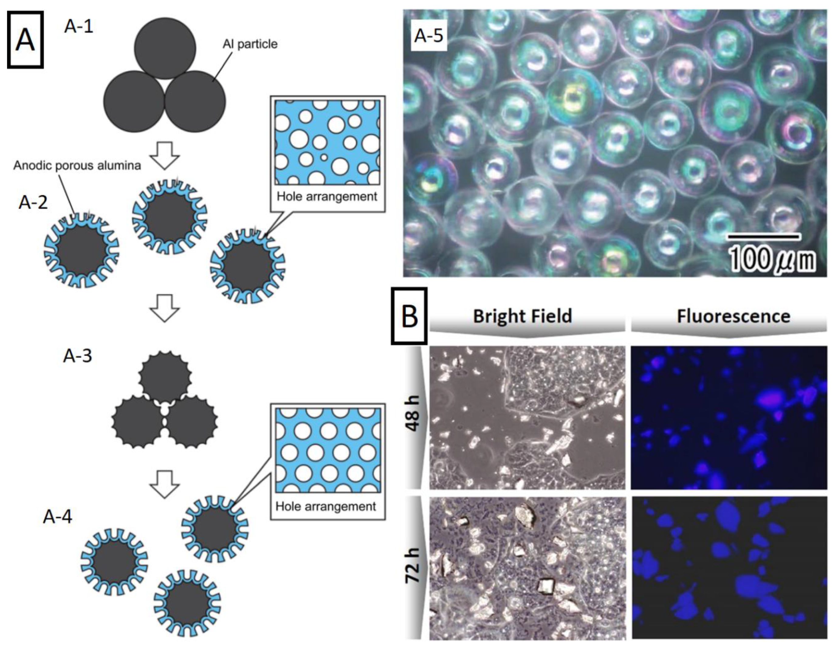 Nanomaterials | Free Full-Text | Recent Advances in Nanoporous 
