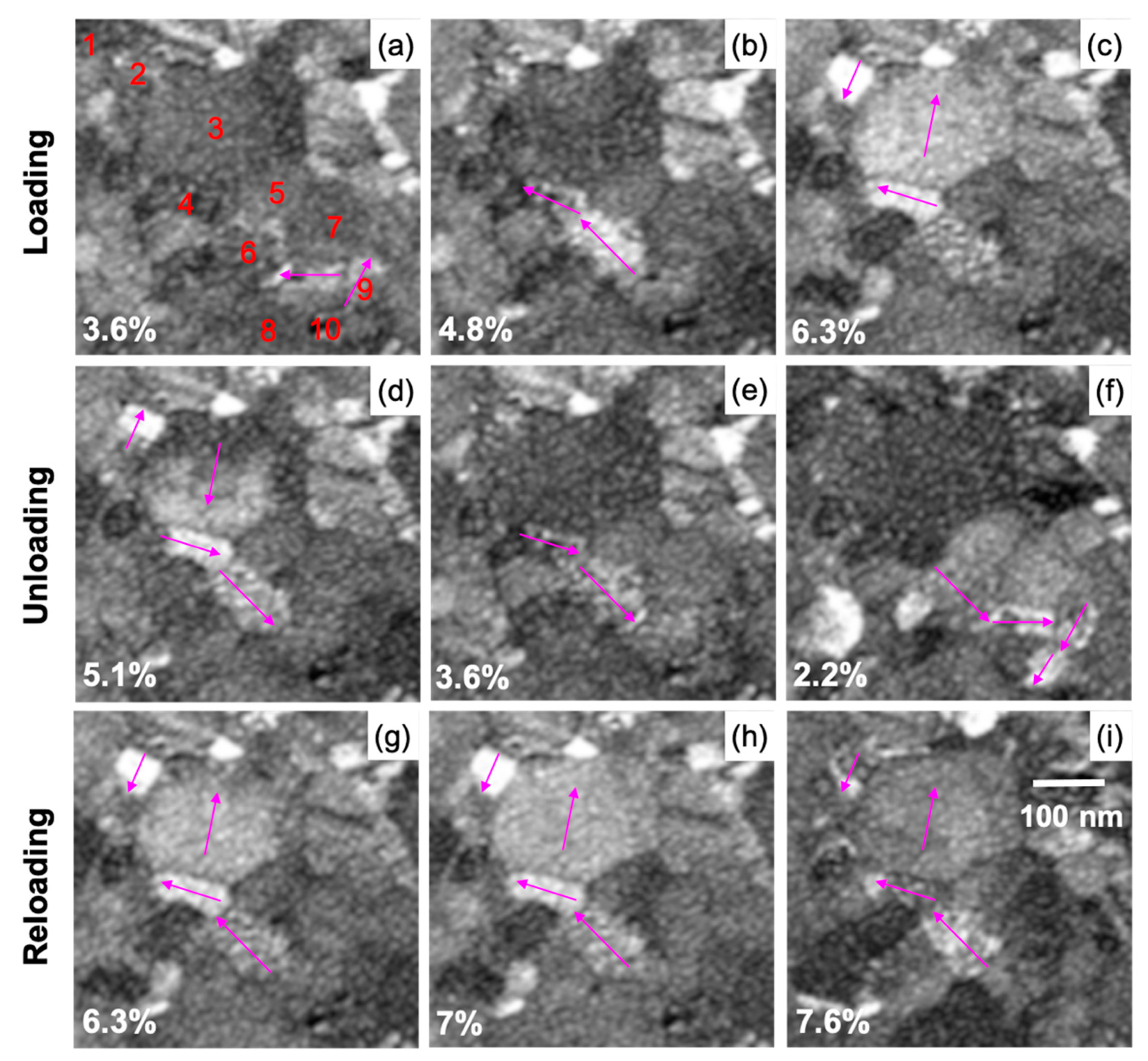 Nanomaterials 11 00432 g006
