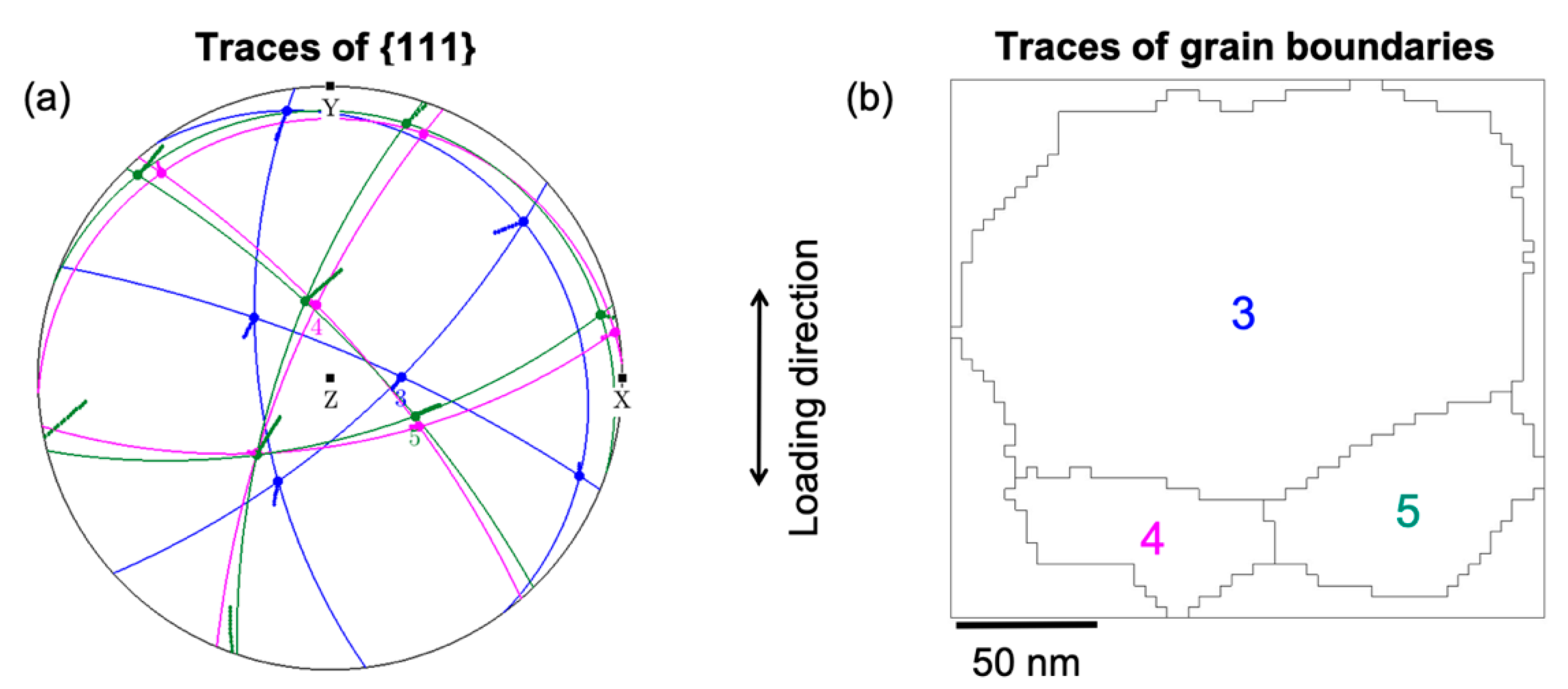 Nanomaterials 11 00432 g011
