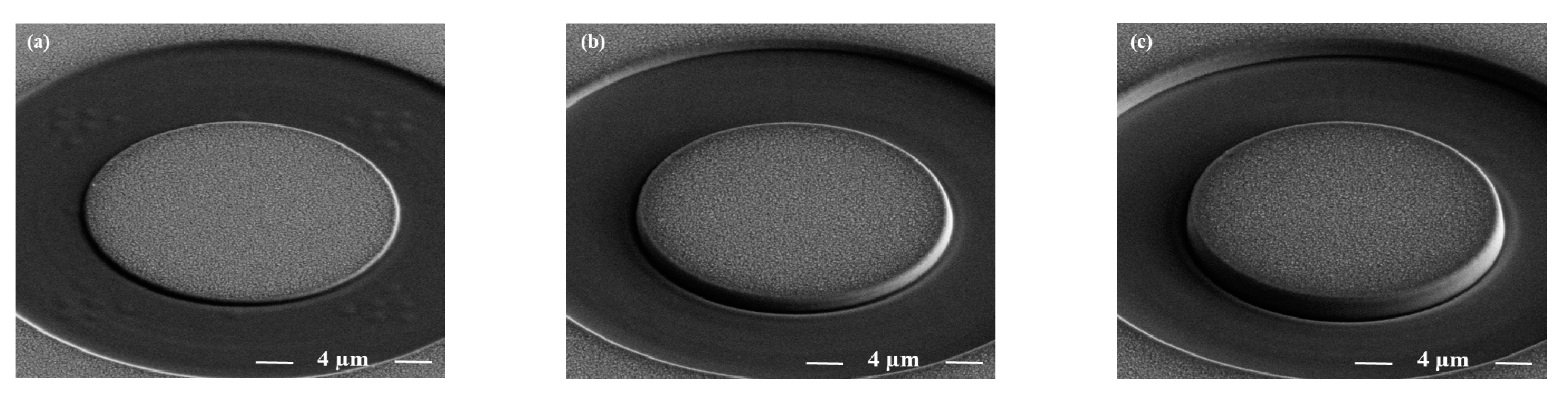 Nanomaterials 11 00435 g002a Nanomaterials 11 00435 g002a