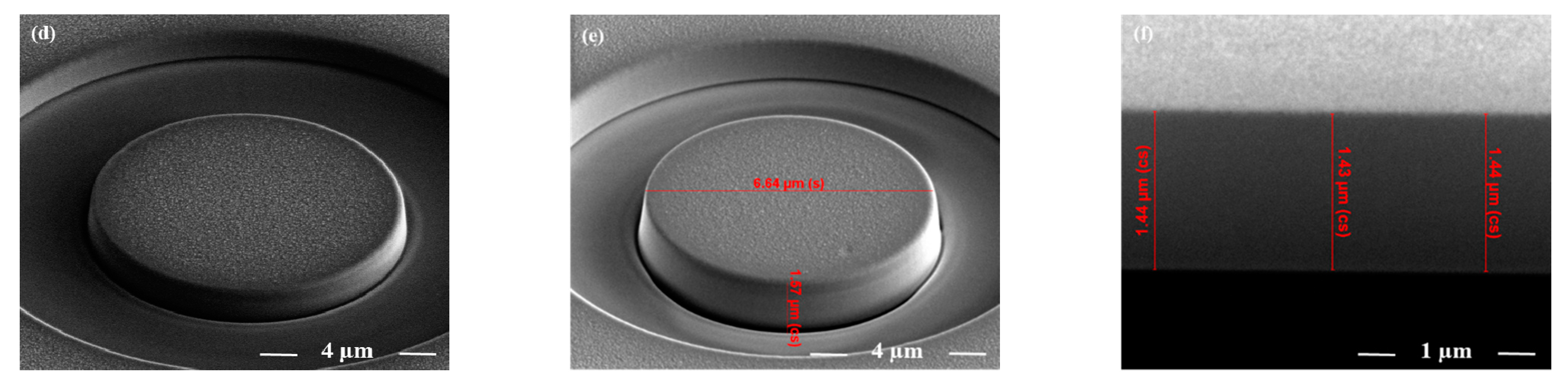 Nanomaterials 11 00435 g002b Nanomaterials 11 00435 g002b