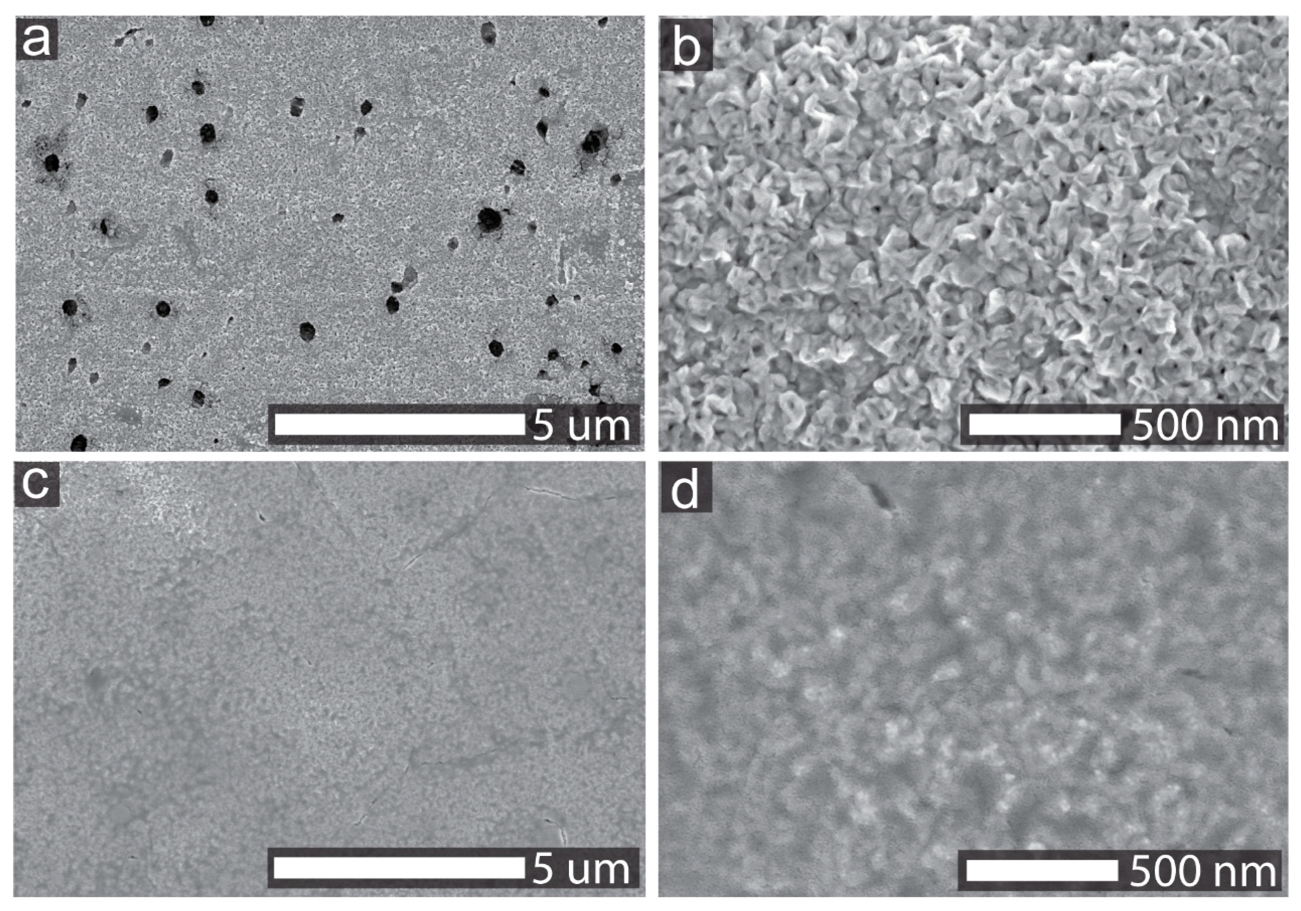 Nanomaterials 11 00437 g001 Nanomaterials 11 00437 g001