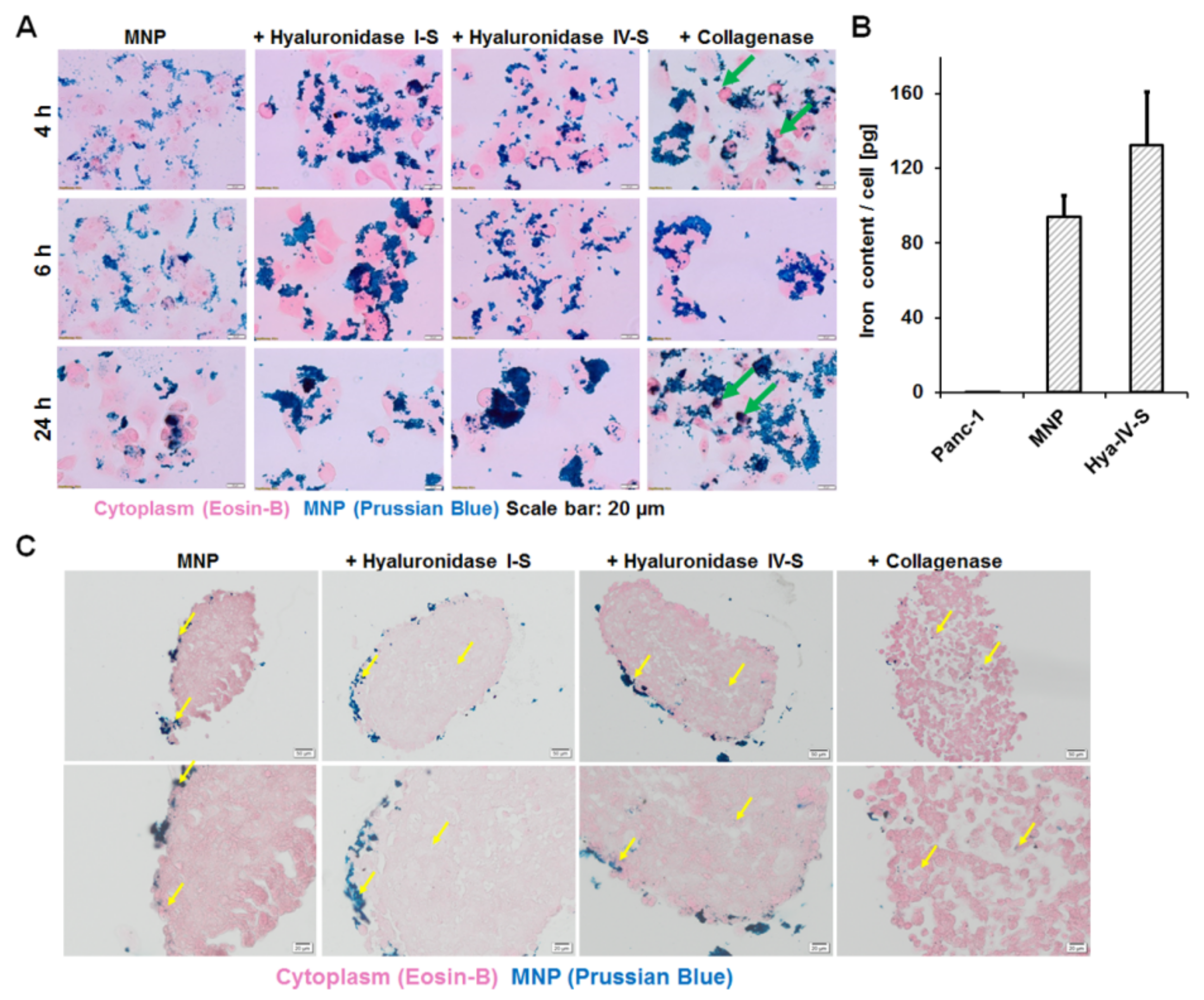 Nanomaterials 11 00438 g002