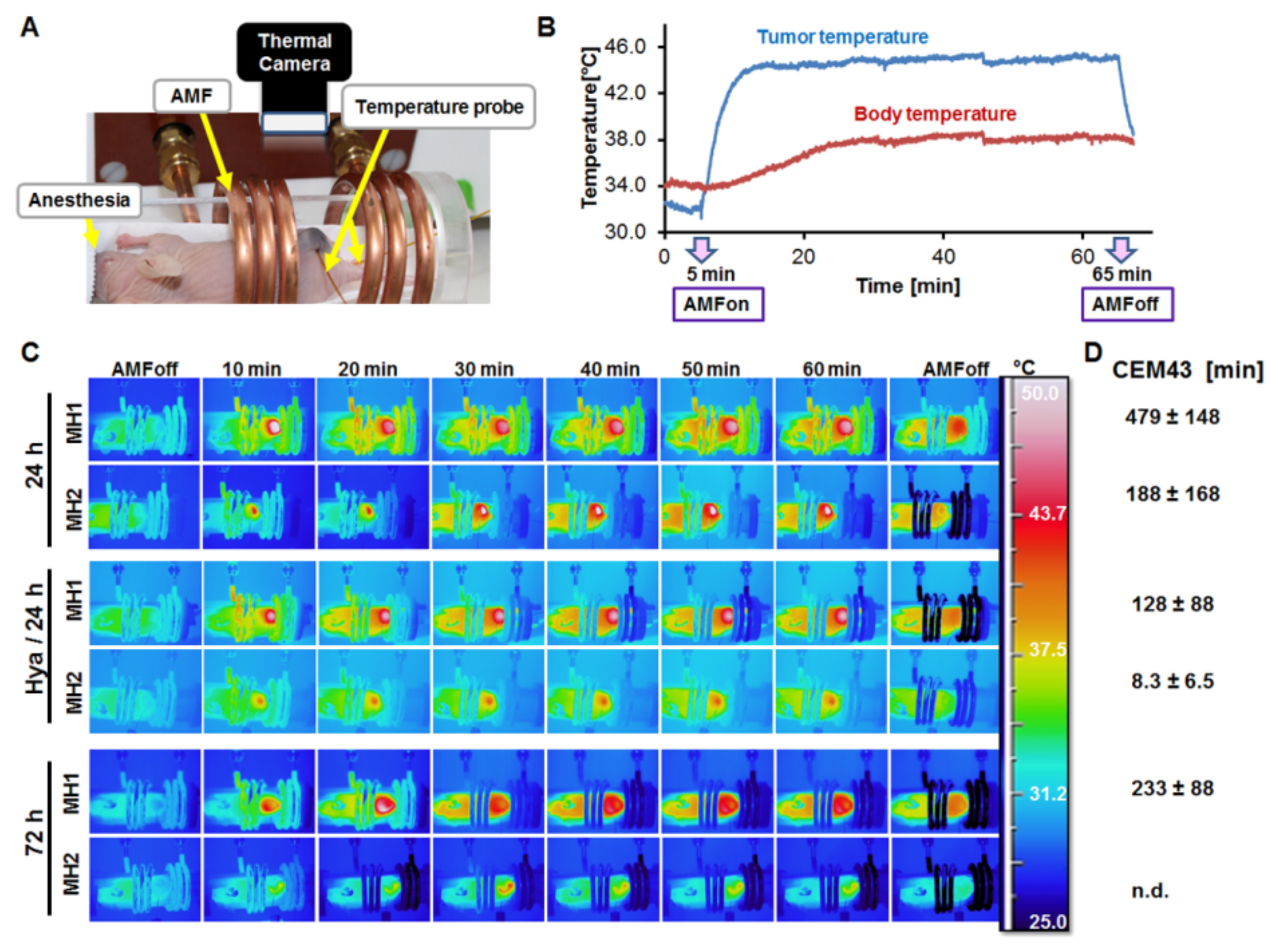 Nanomaterials 11 00438 g004