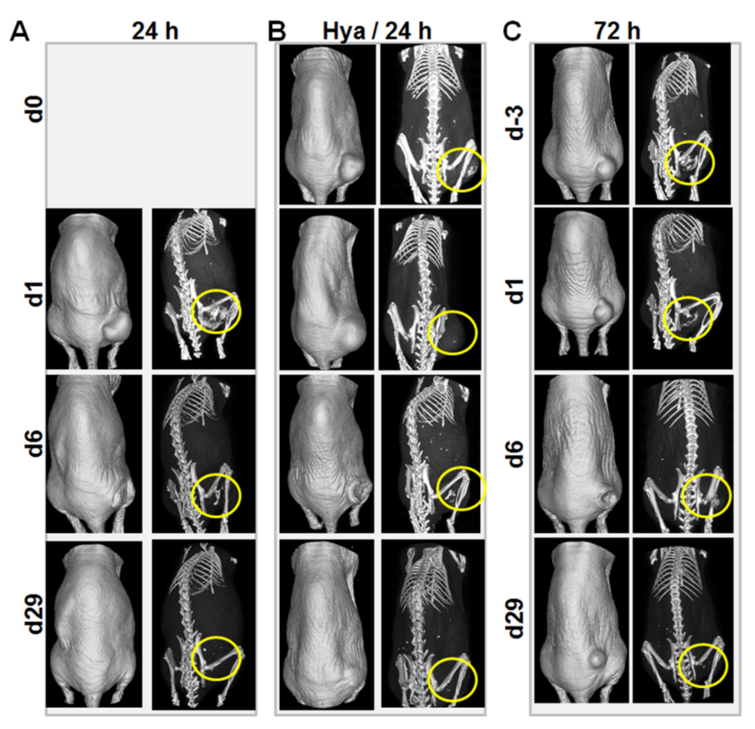 Nanomaterials 11 00438 g005