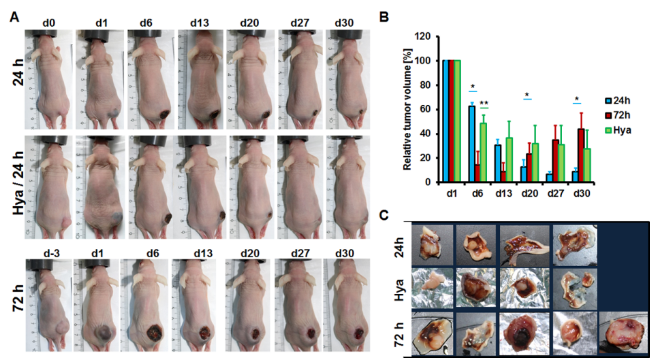 Nanomaterials 11 00438 g006