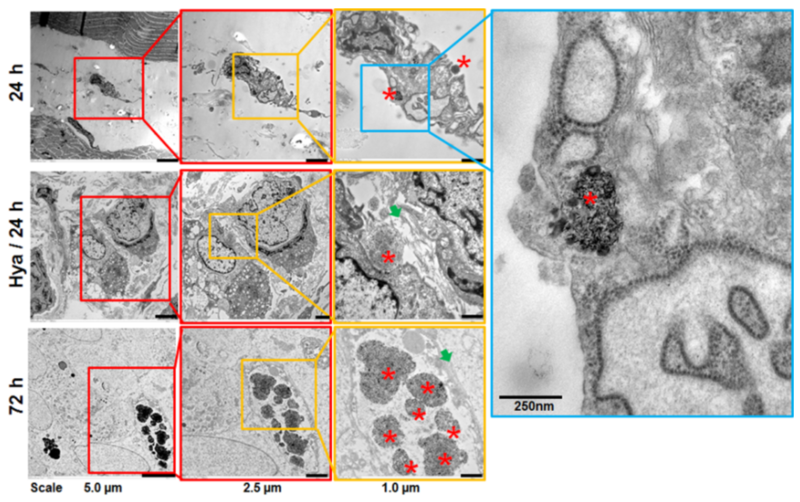 Nanomaterials 11 00438 g007