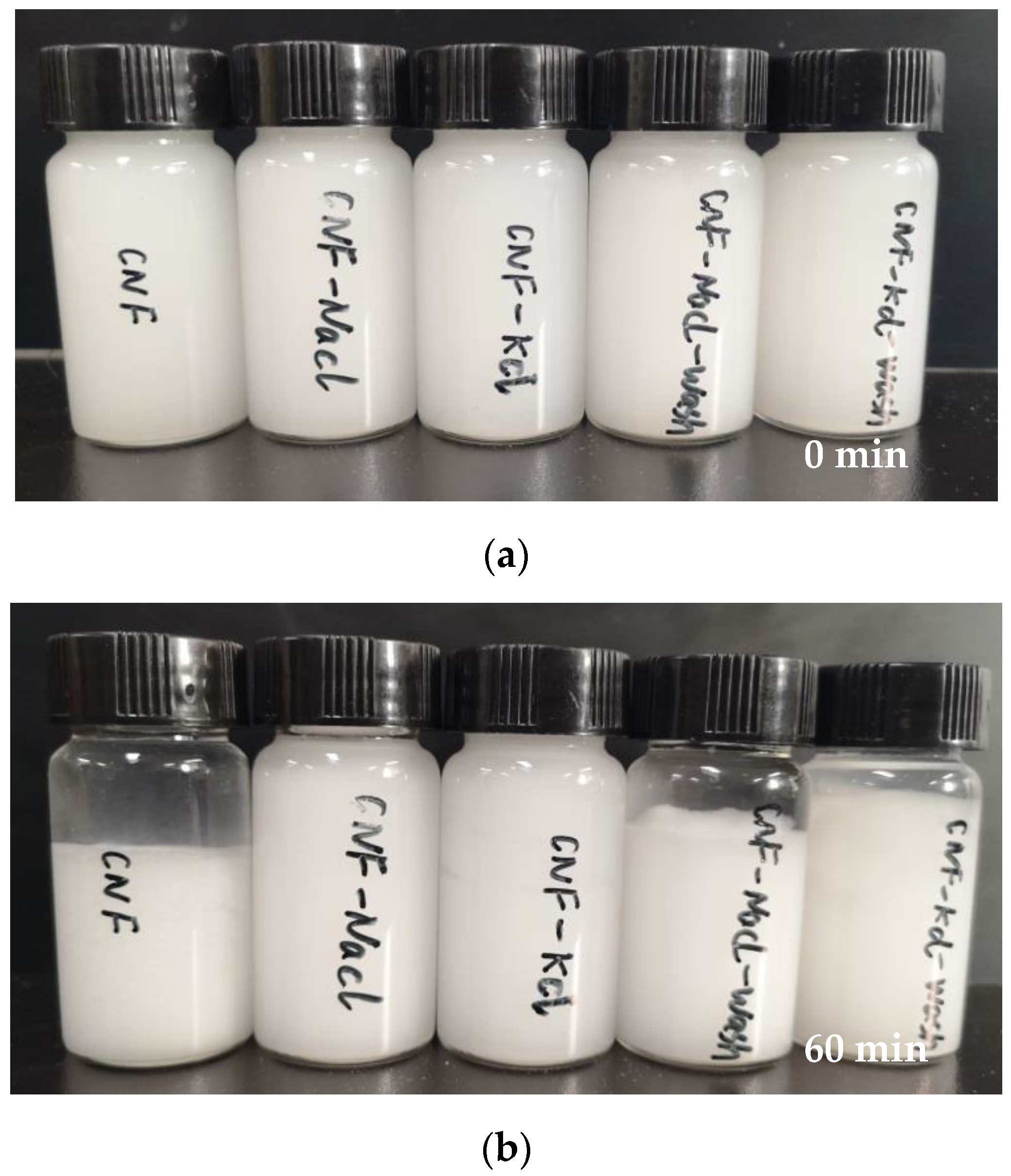 Nanomaterials 11 00439 g004