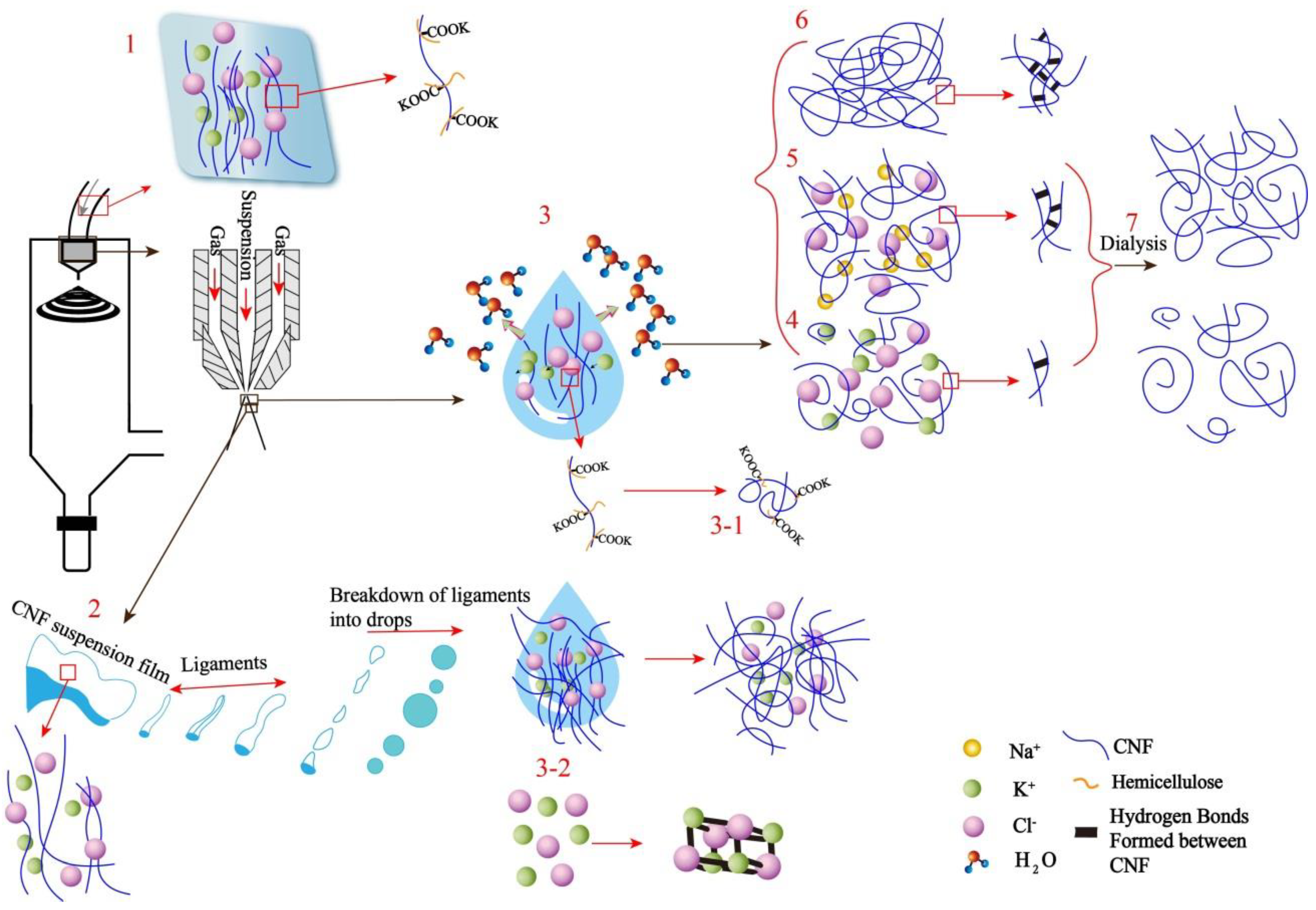 Nanomaterials 11 00439 g007