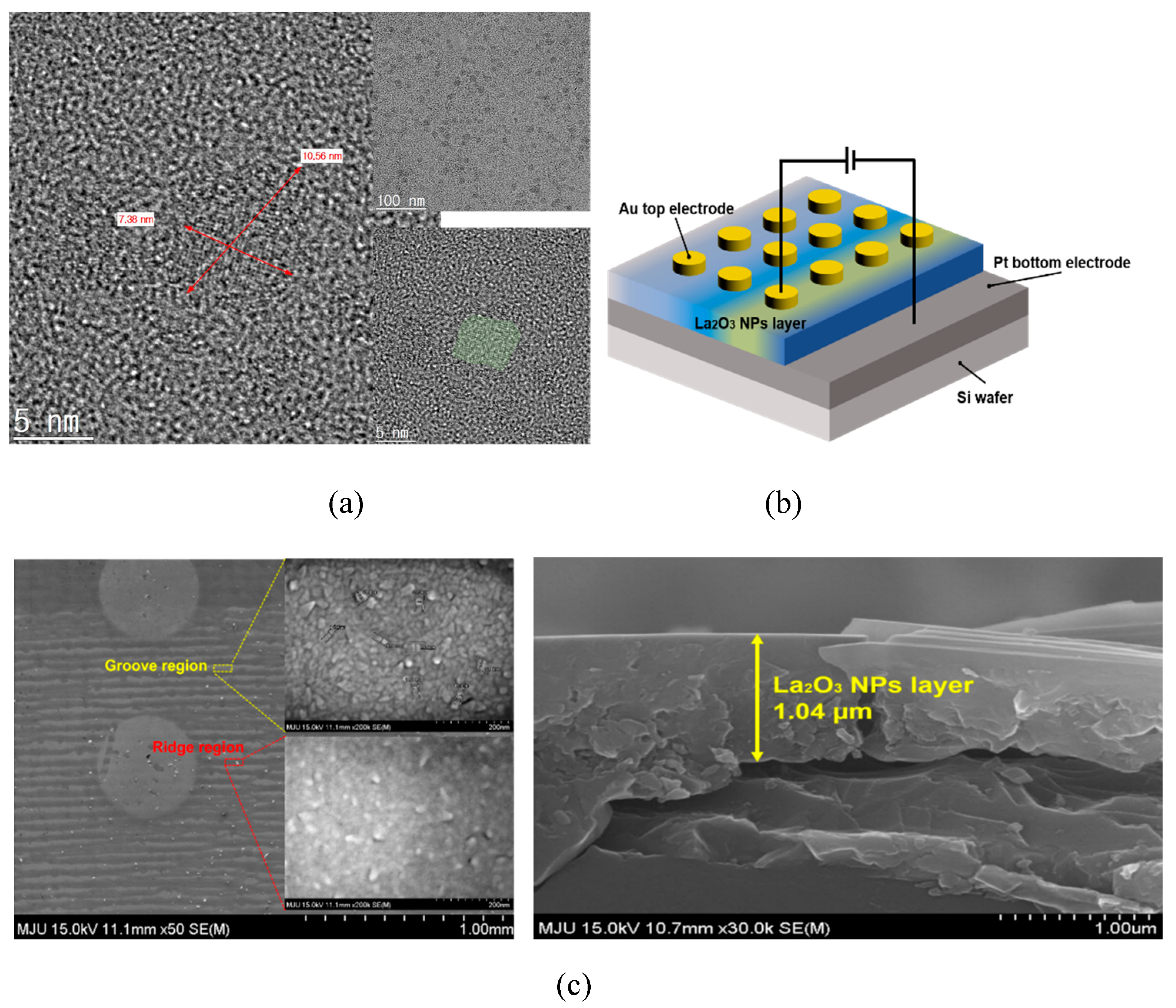 Nanomaterials 11 00441 g001
