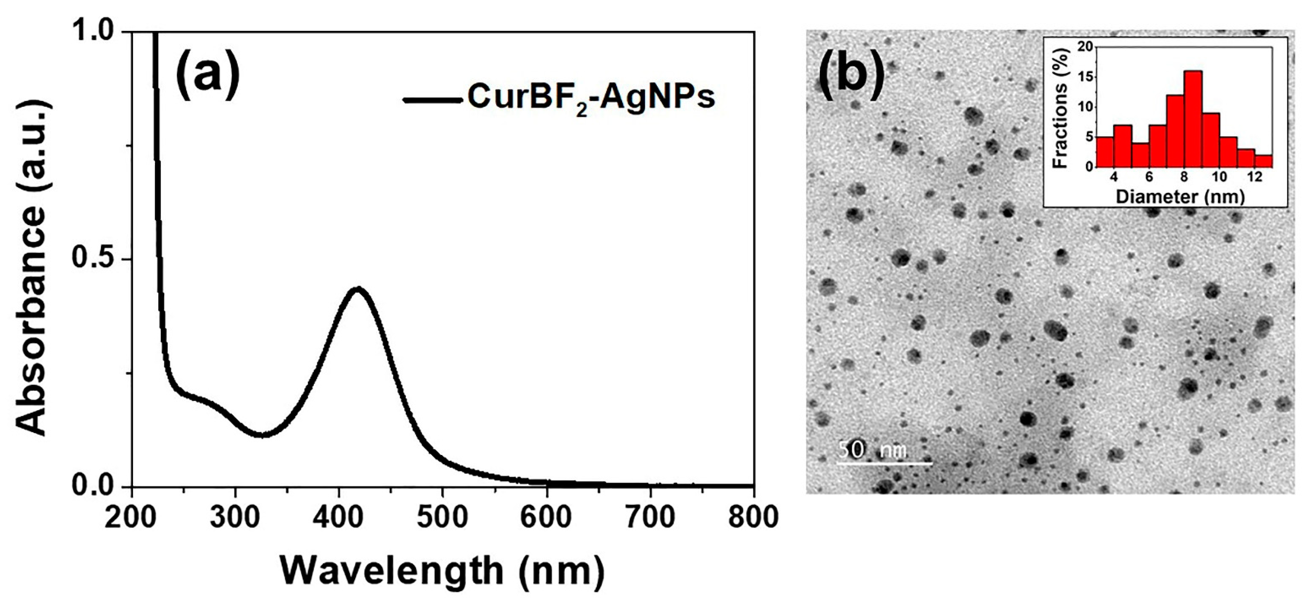 Nanomaterials 11 00442 g001 Nanomaterials 11 00442 g001