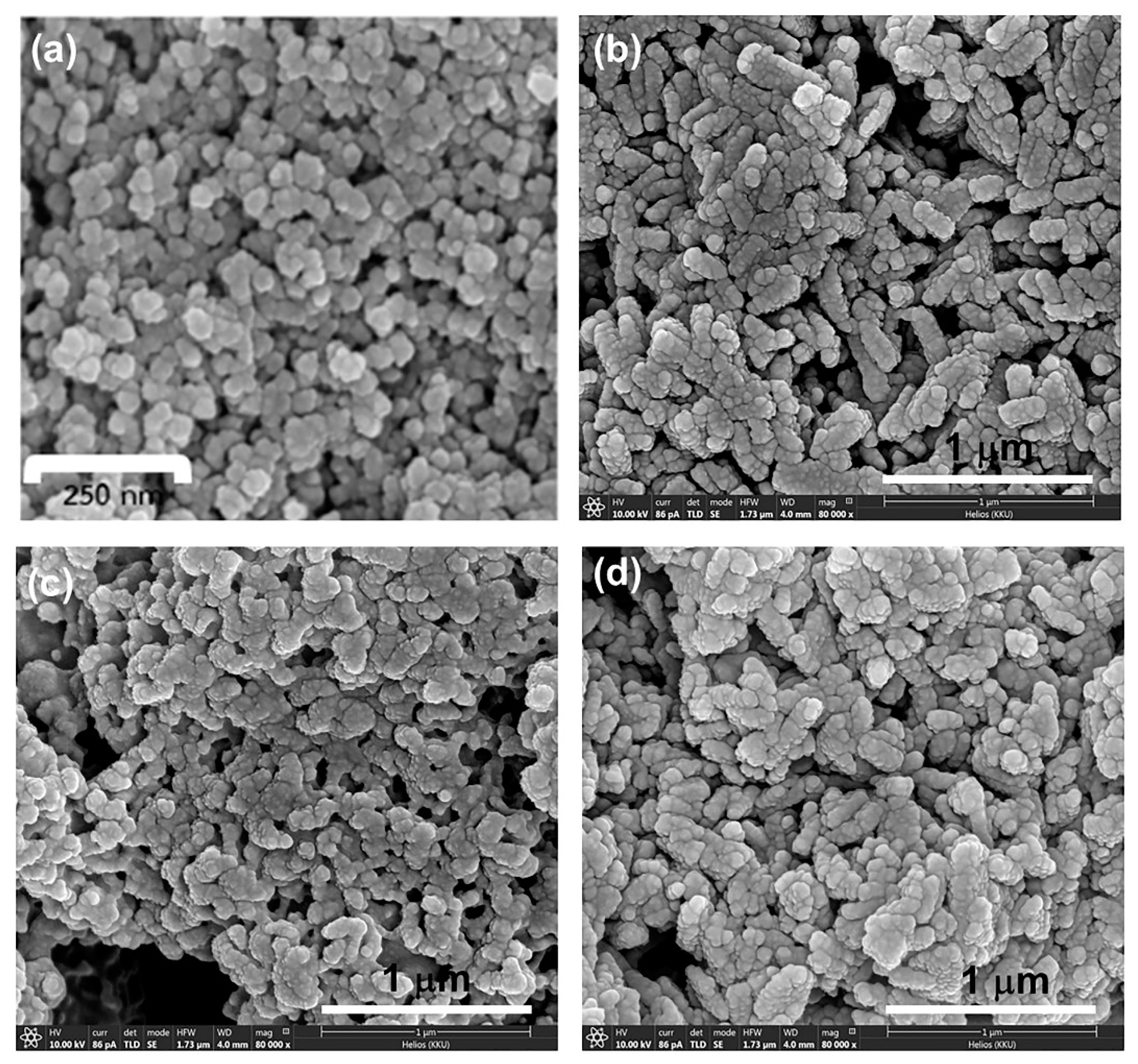 Nanomaterials 11 00442 g002 Nanomaterials 11 00442 g002