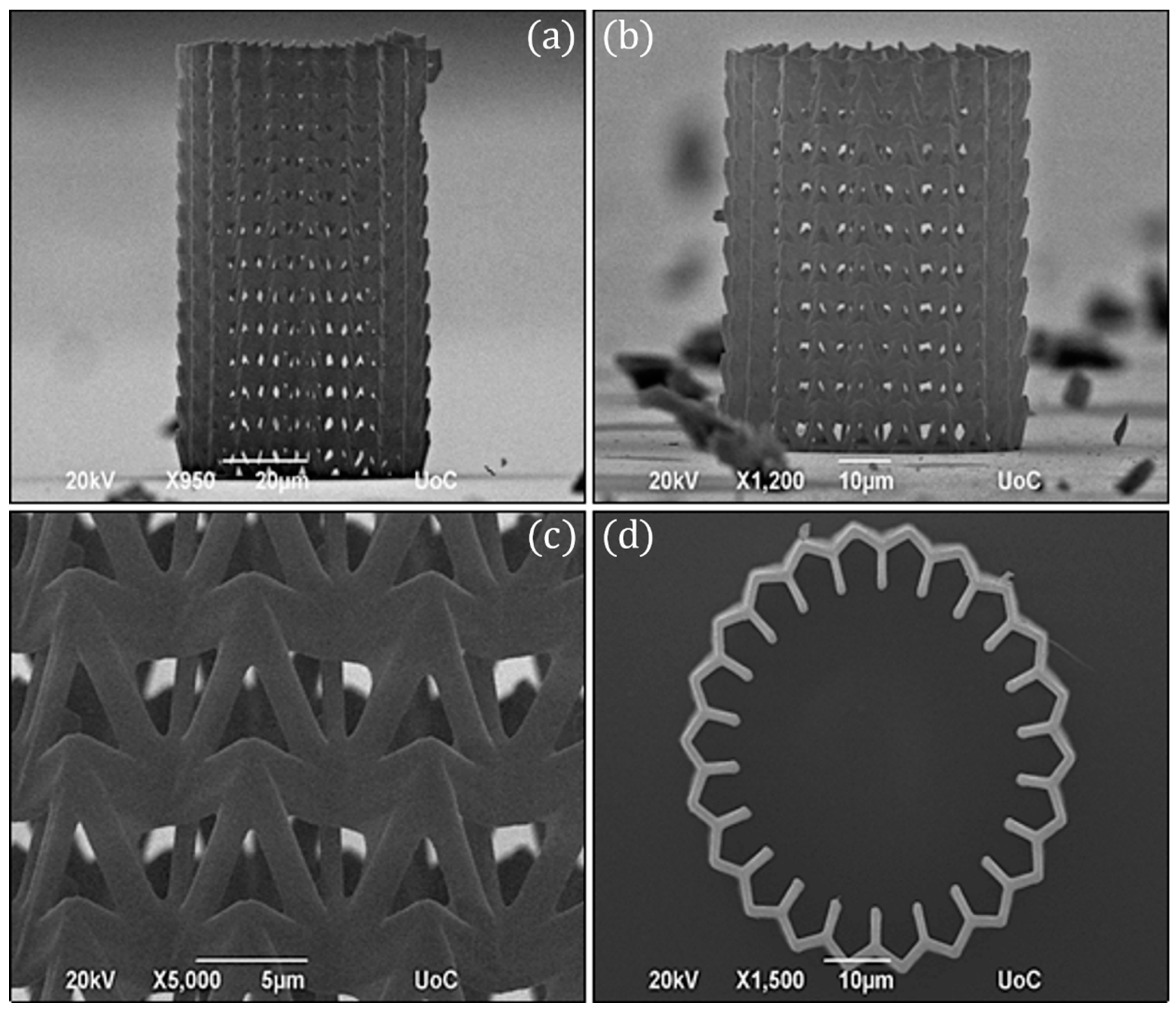 Nanomaterials 11 00446 g004 Nanomaterials 11 00446 g004