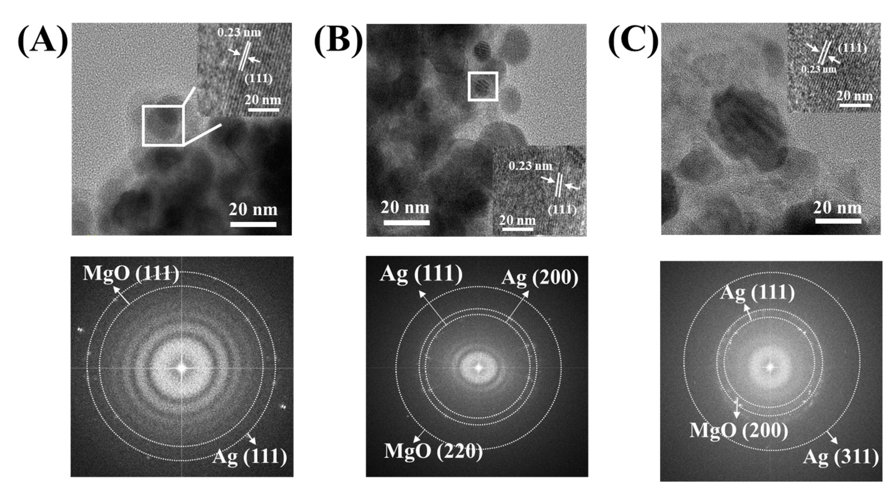 Nanomaterials 11 00447 g004