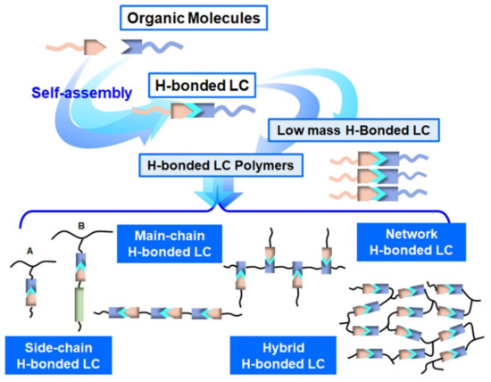 Nanomaterials 11 00448 g002 550