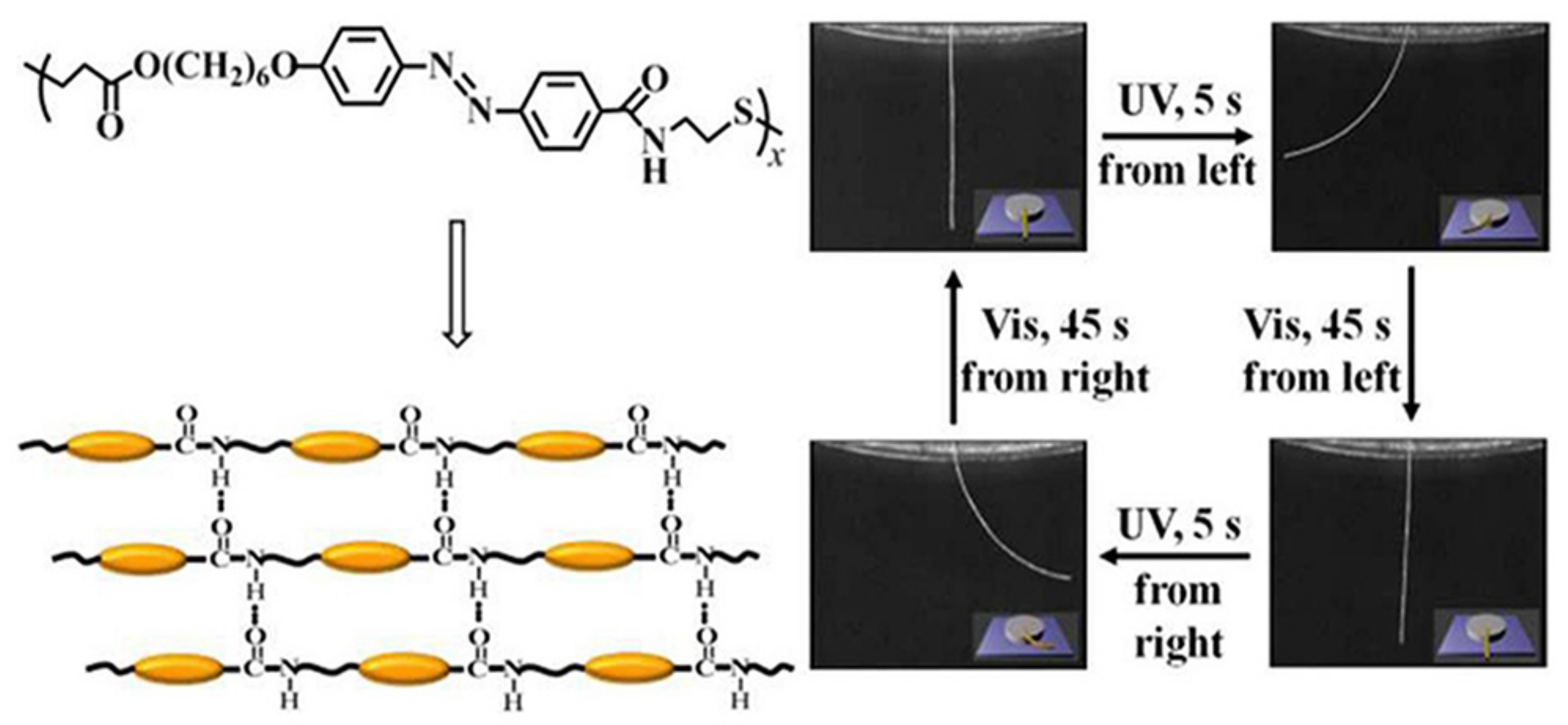 Nanomaterials 11 00448 g004