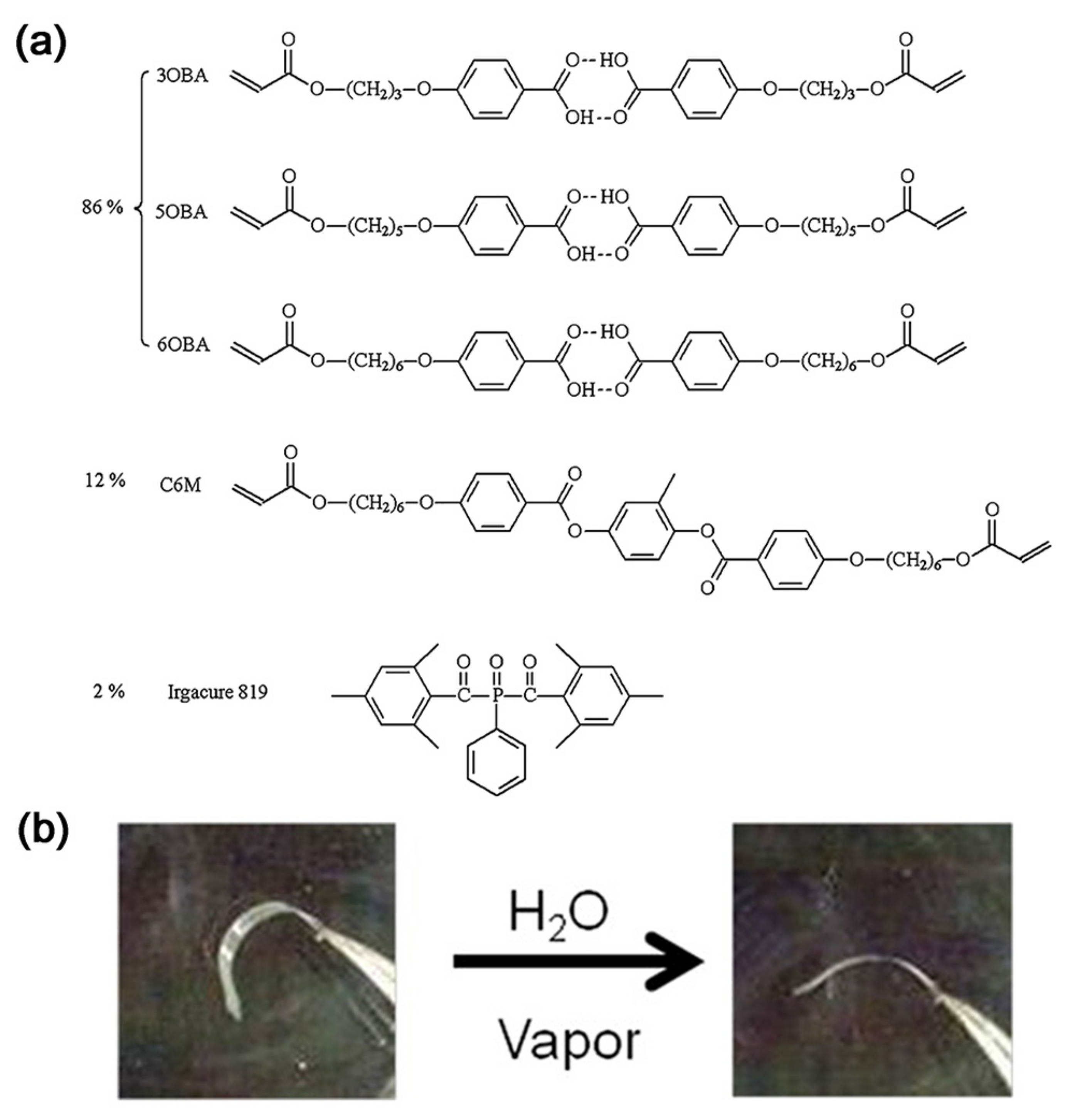 Nanomaterials 11 00448 g007