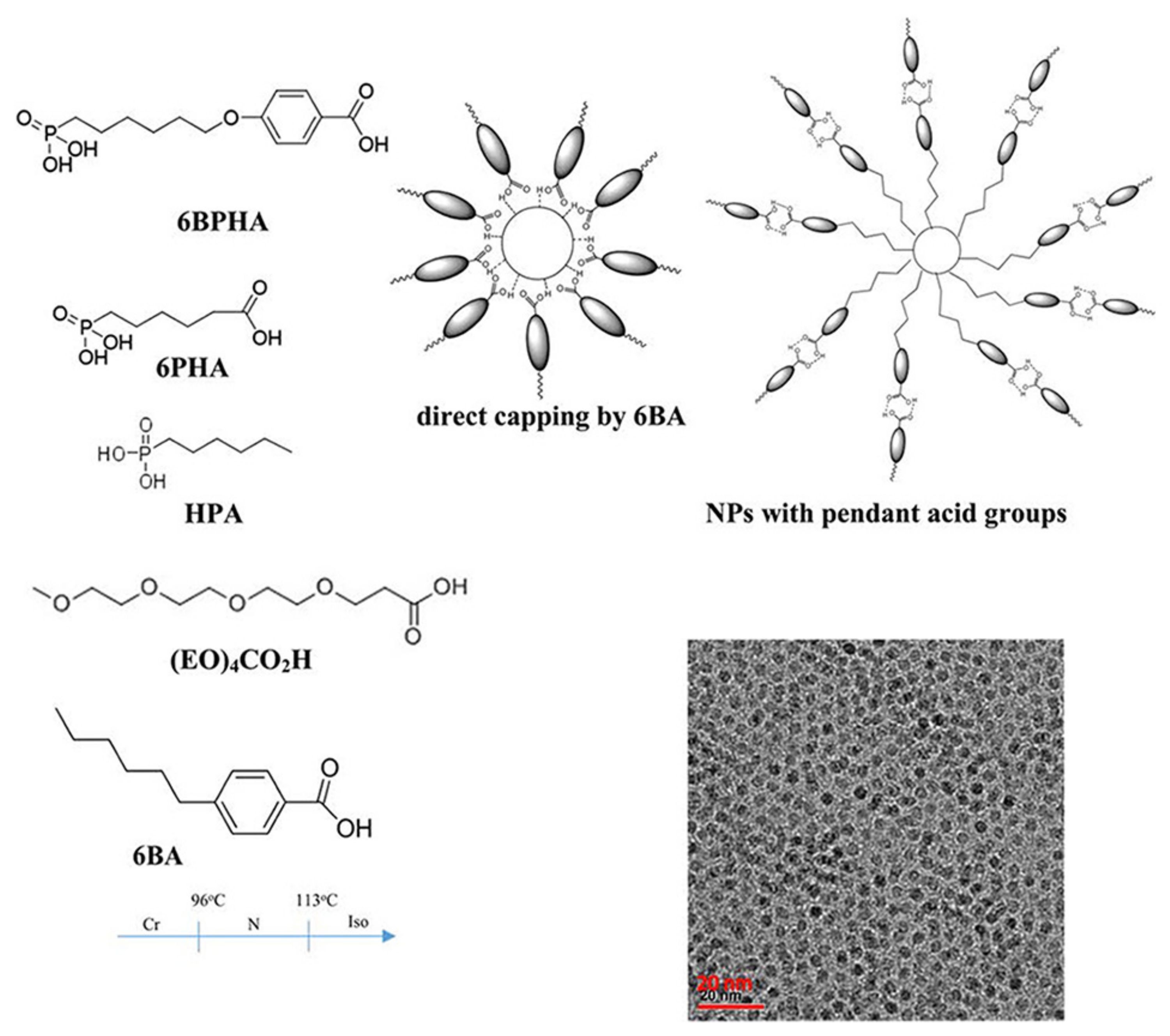Nanomaterials 11 00448 g011